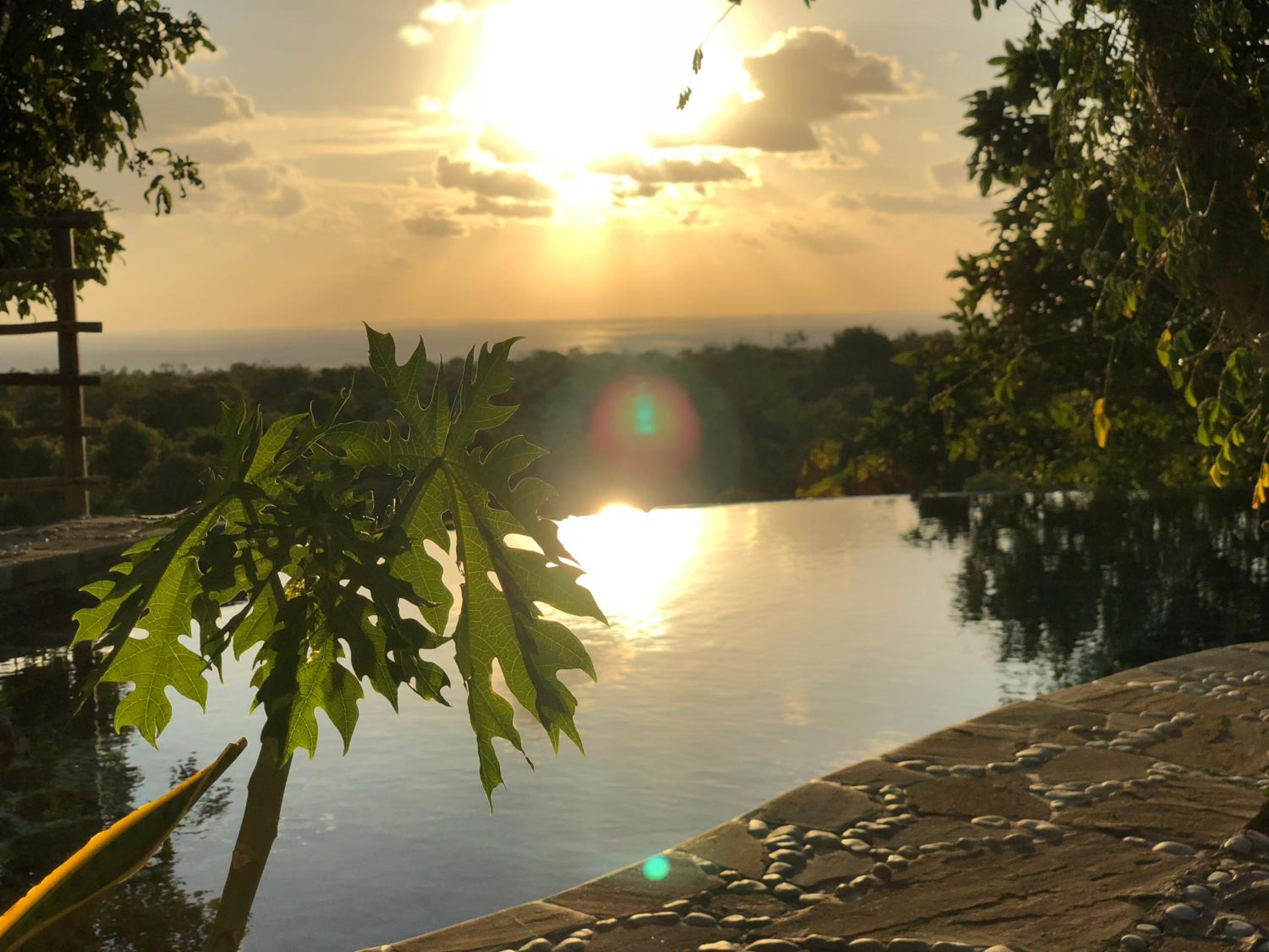 Utopia Rote Lodge