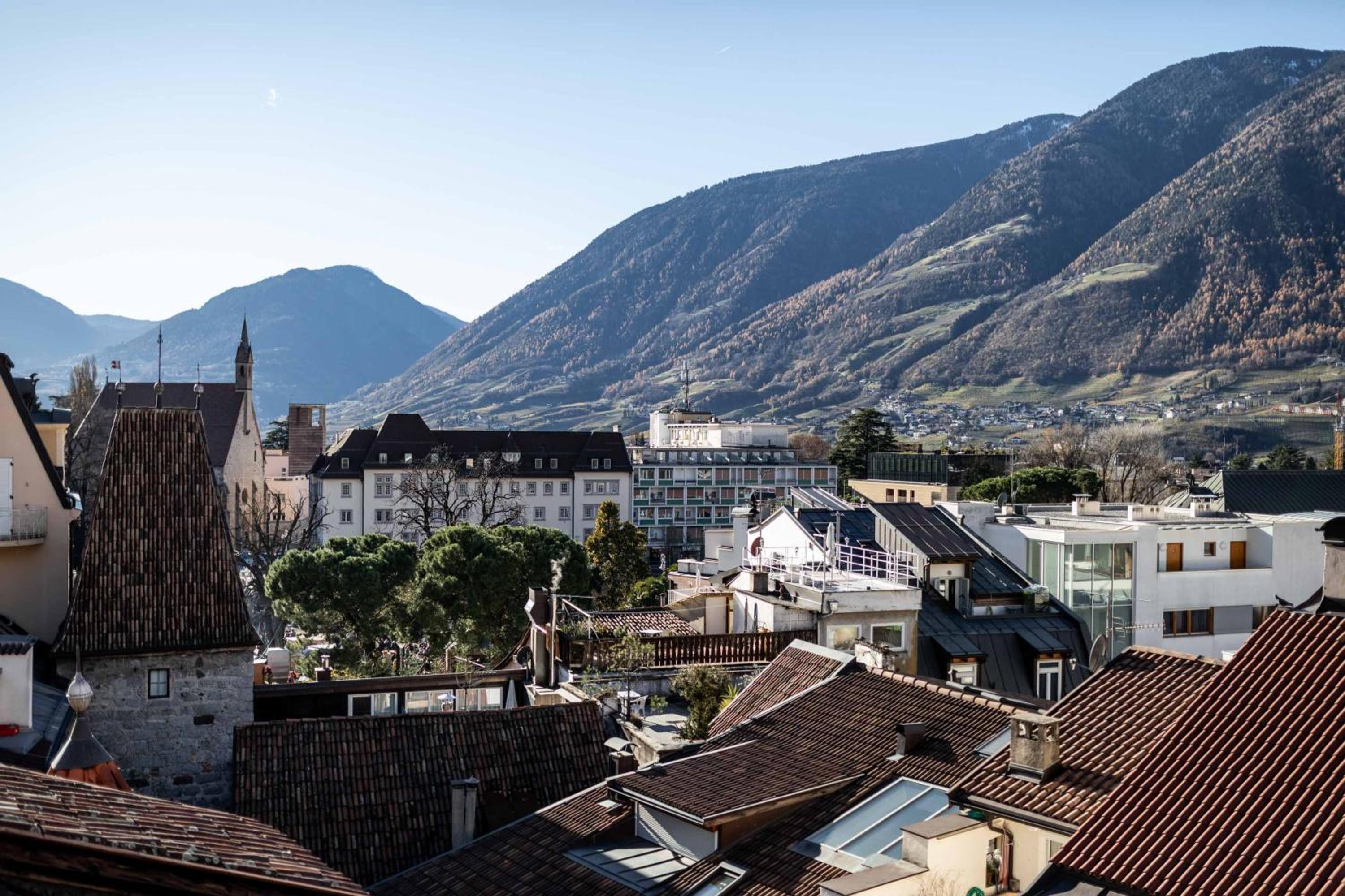 Stay COOPER l Guesthouse zum Löwen view 3