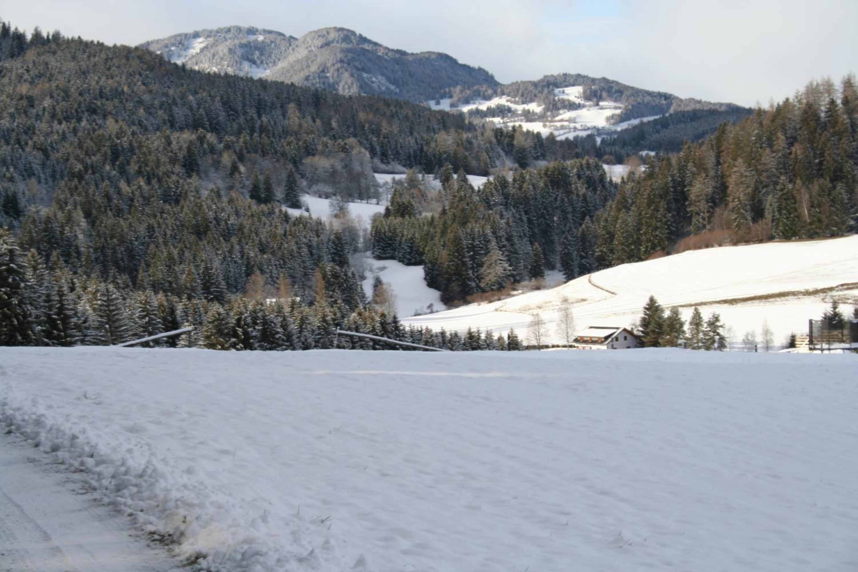 Ferienhaus Grohs