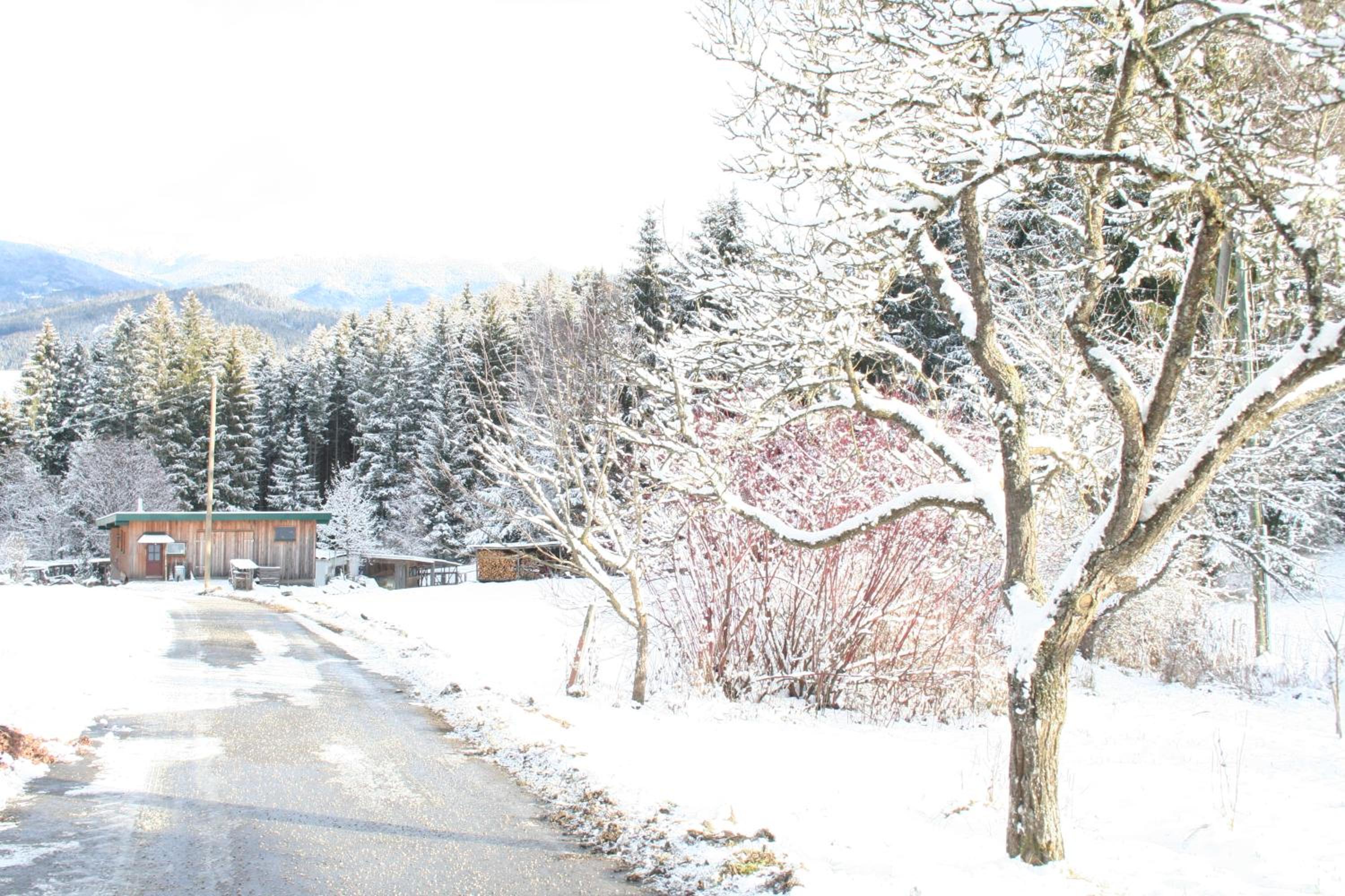 Ferienhaus Grohs
