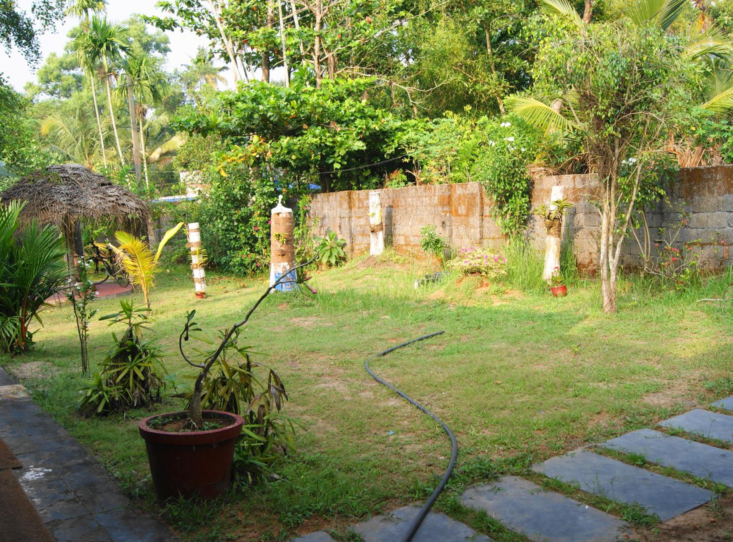 Photo 31