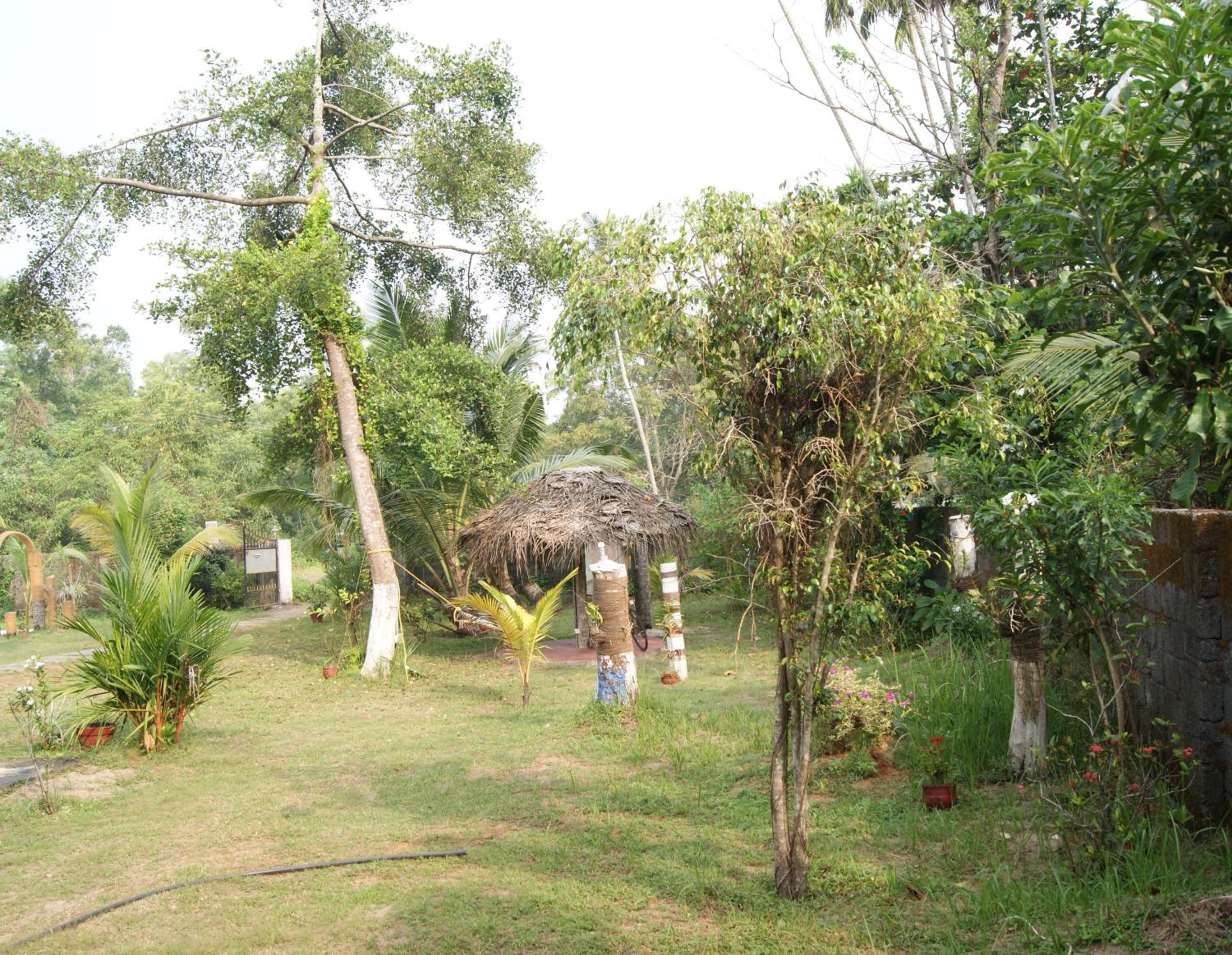 Photo 37