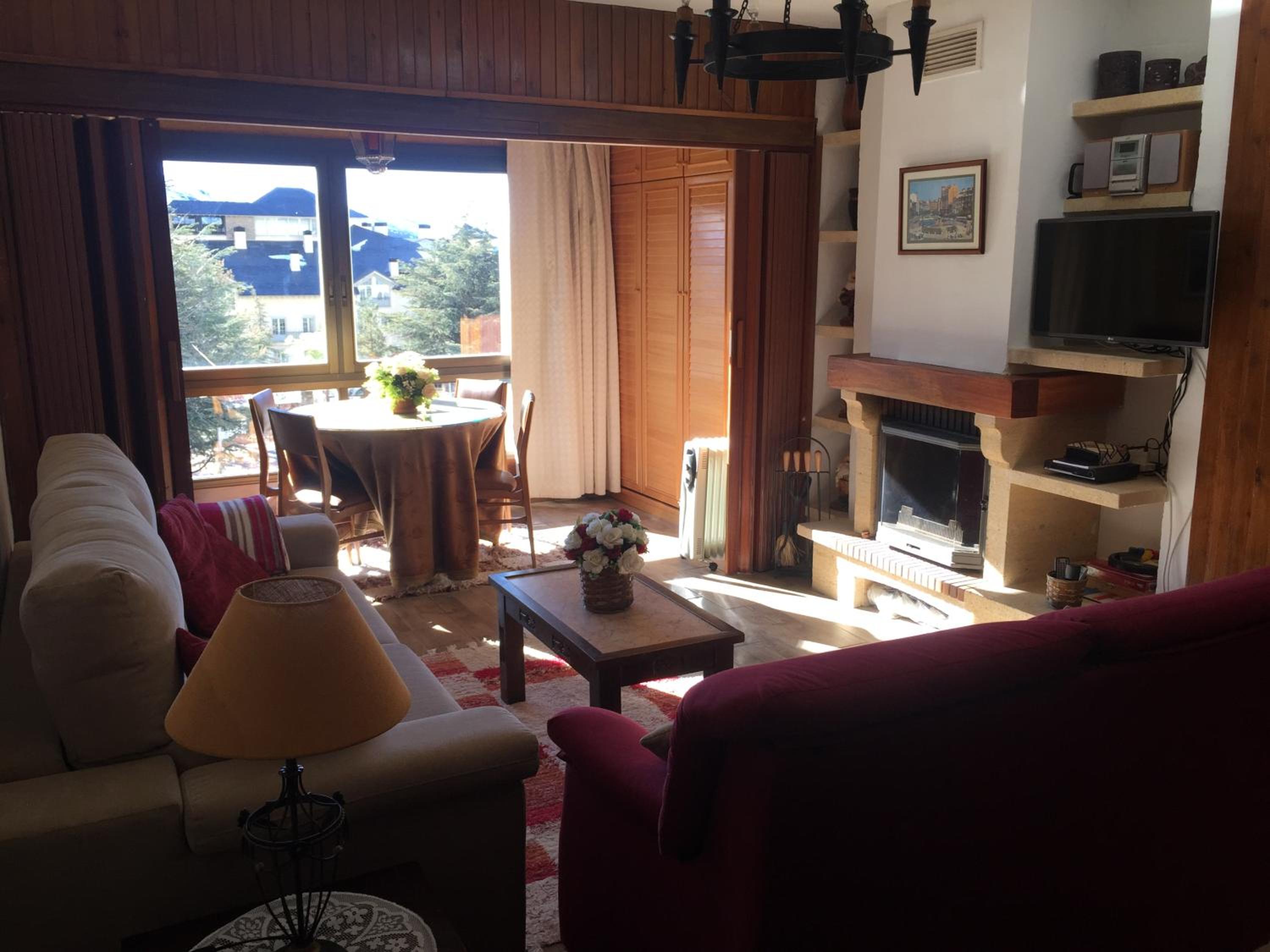 Apartment Plaza de Pradollano view 2