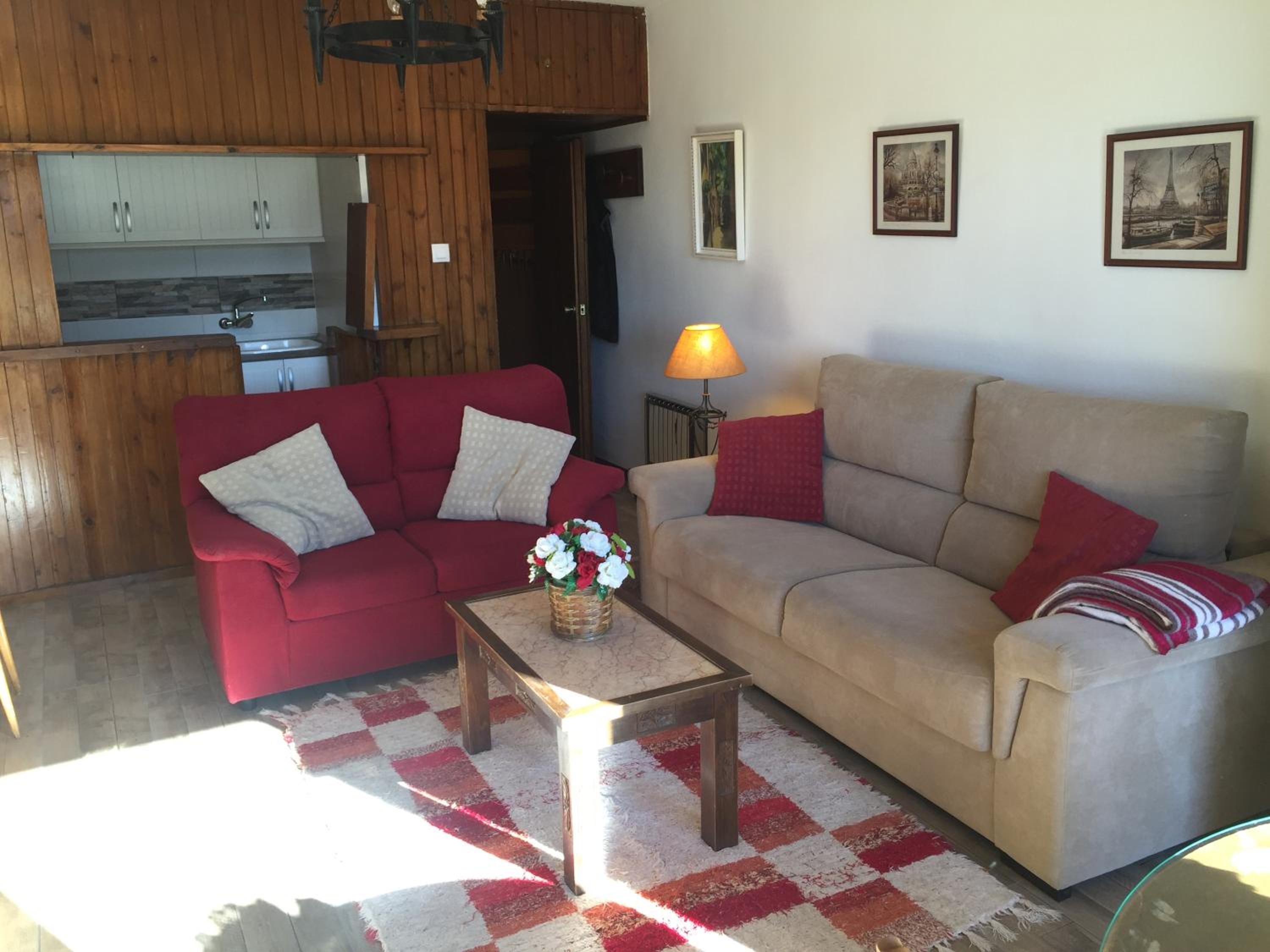Apartment Plaza de Pradollano view 3