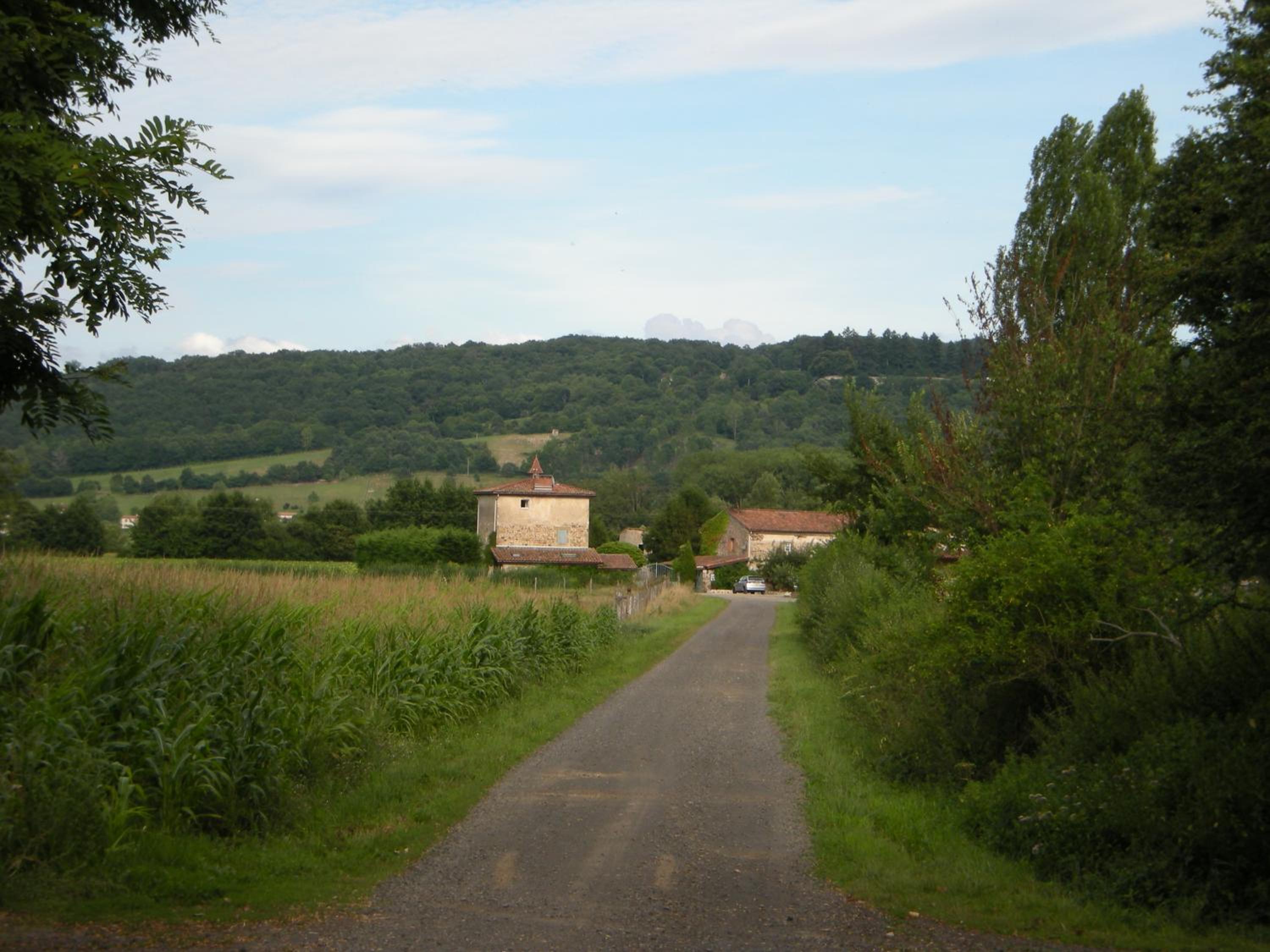 Photo 26