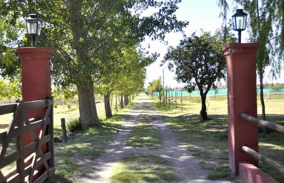 Finca Silvestre