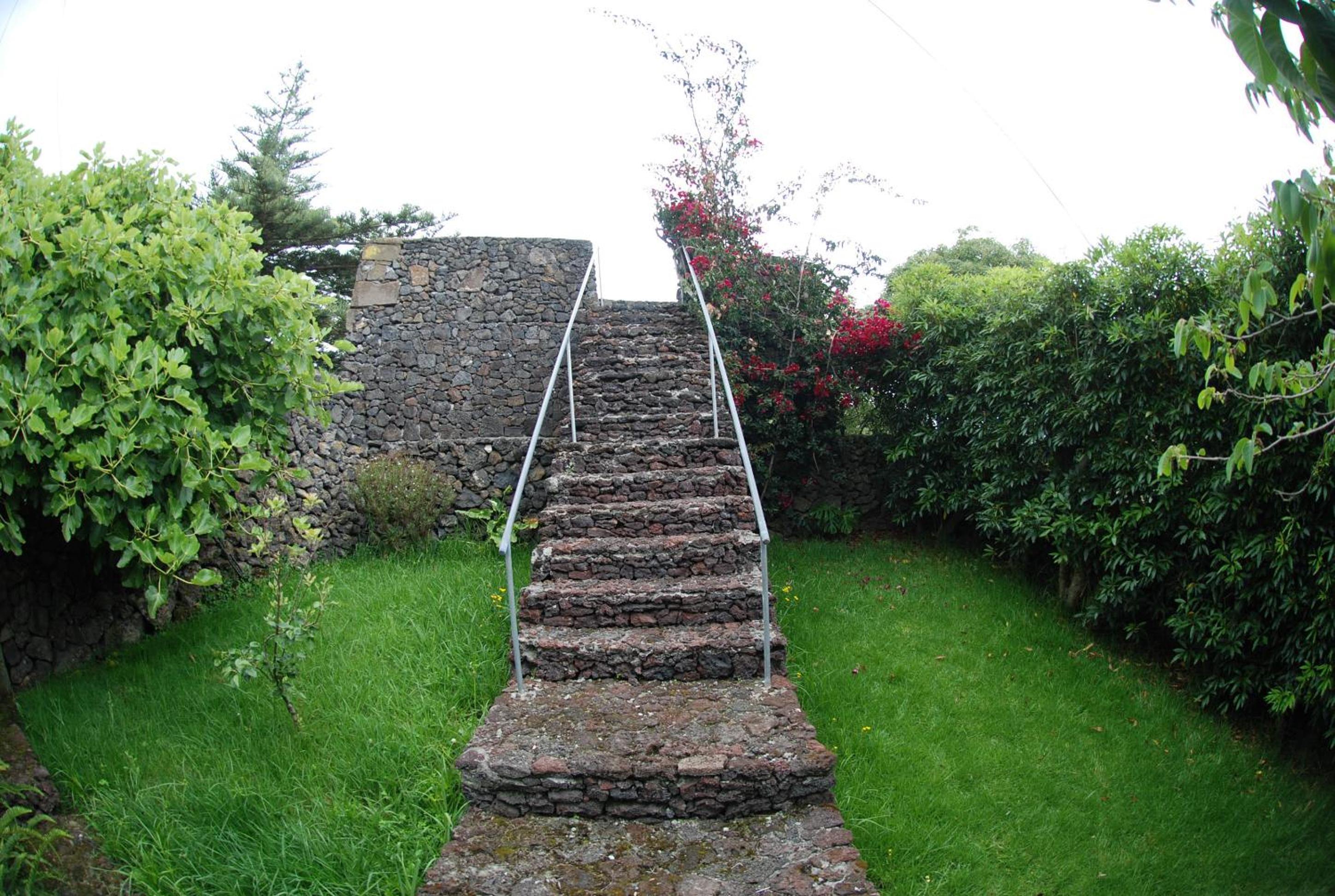 Photo 52