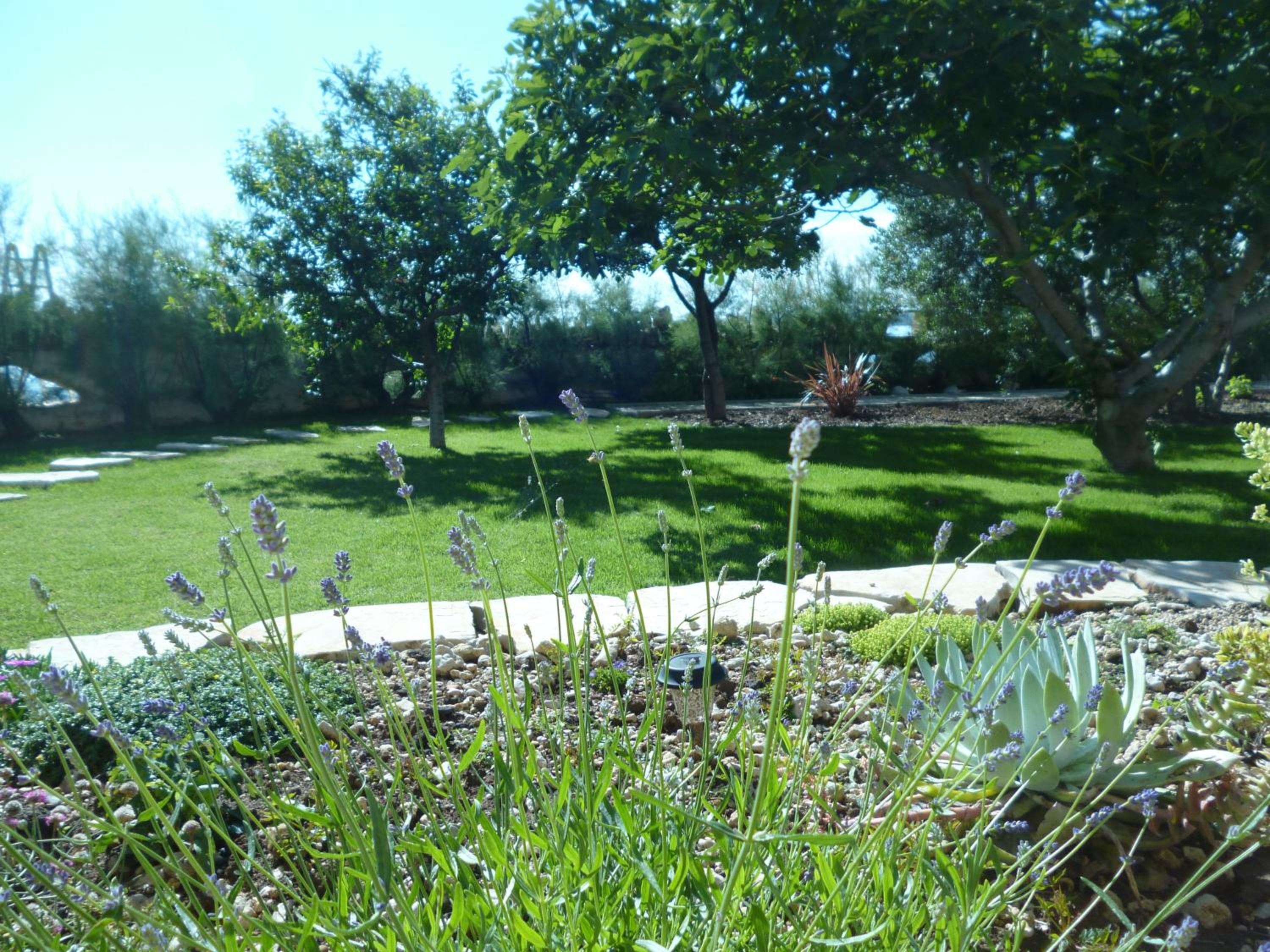 Photo 40