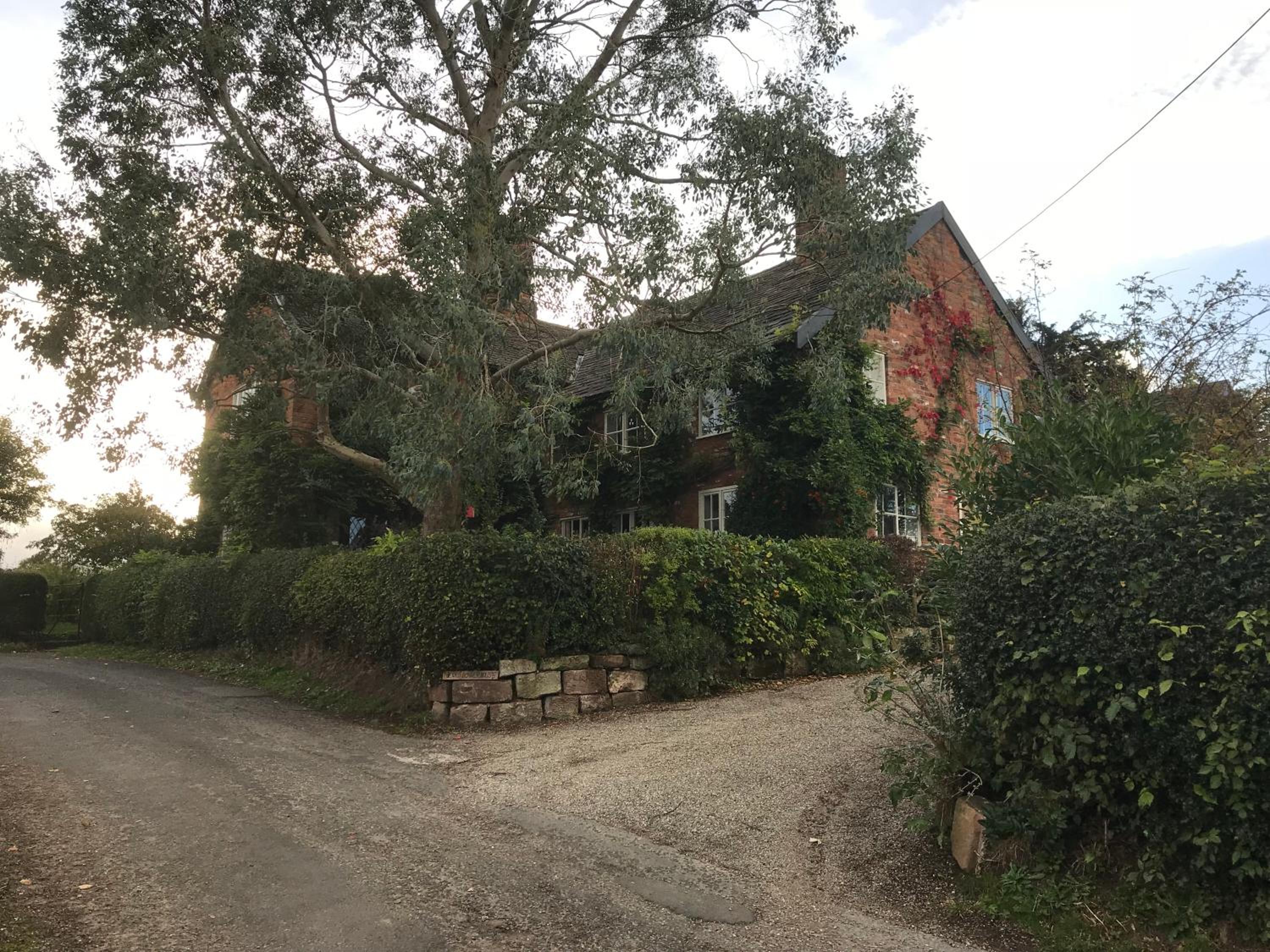 Photo 21