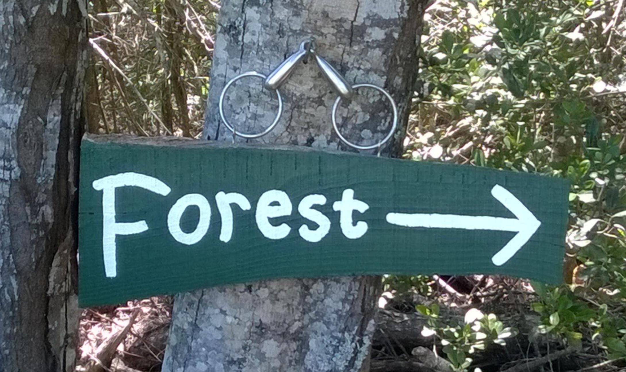 Green Hills Forest Lodge