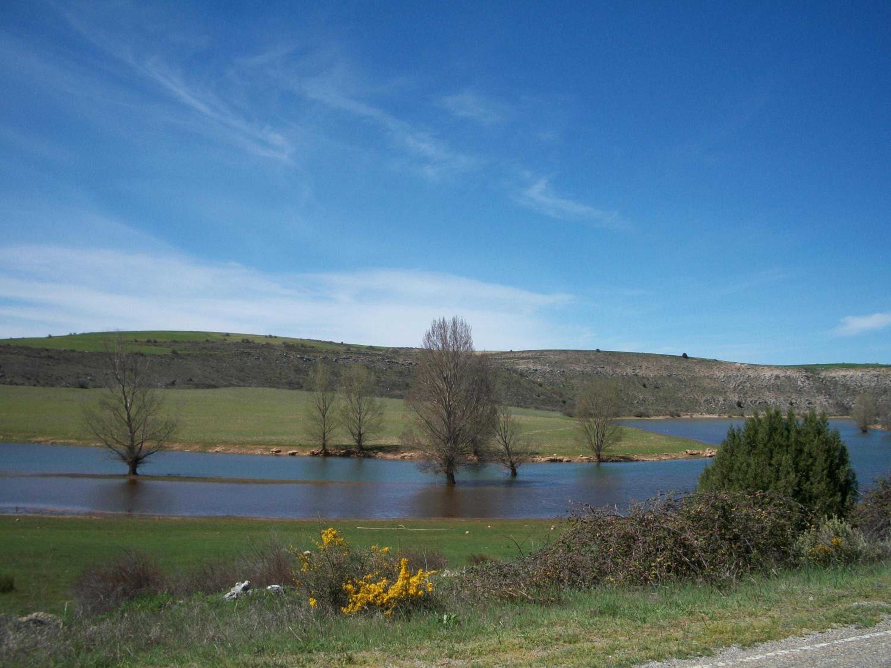 Photo 43