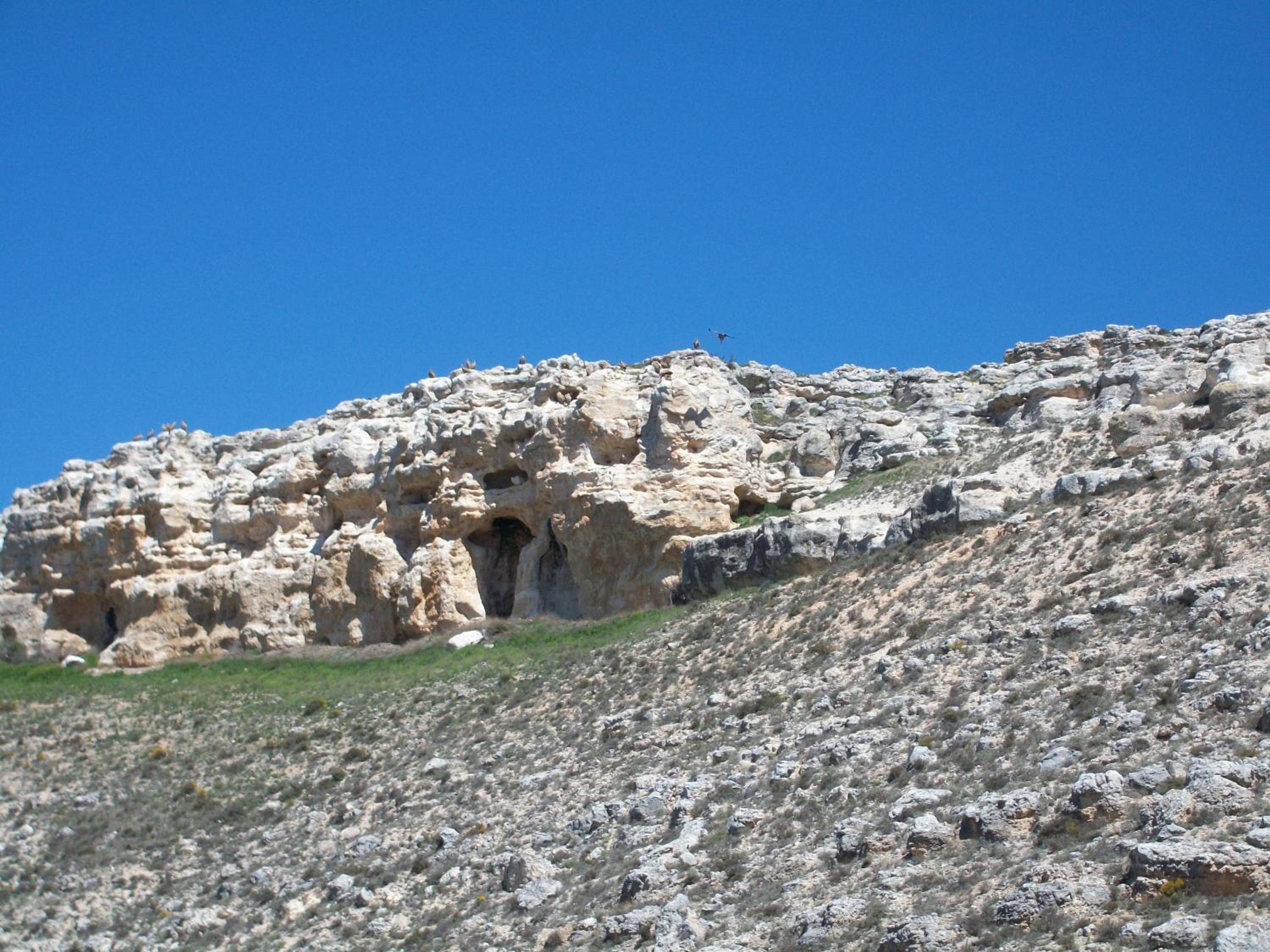 Photo 42