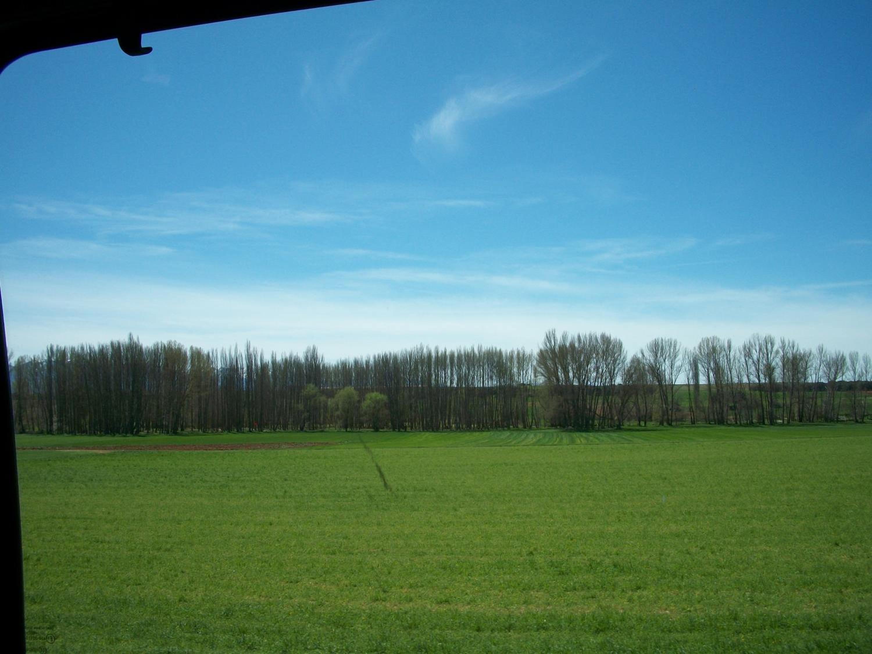 Photo 39