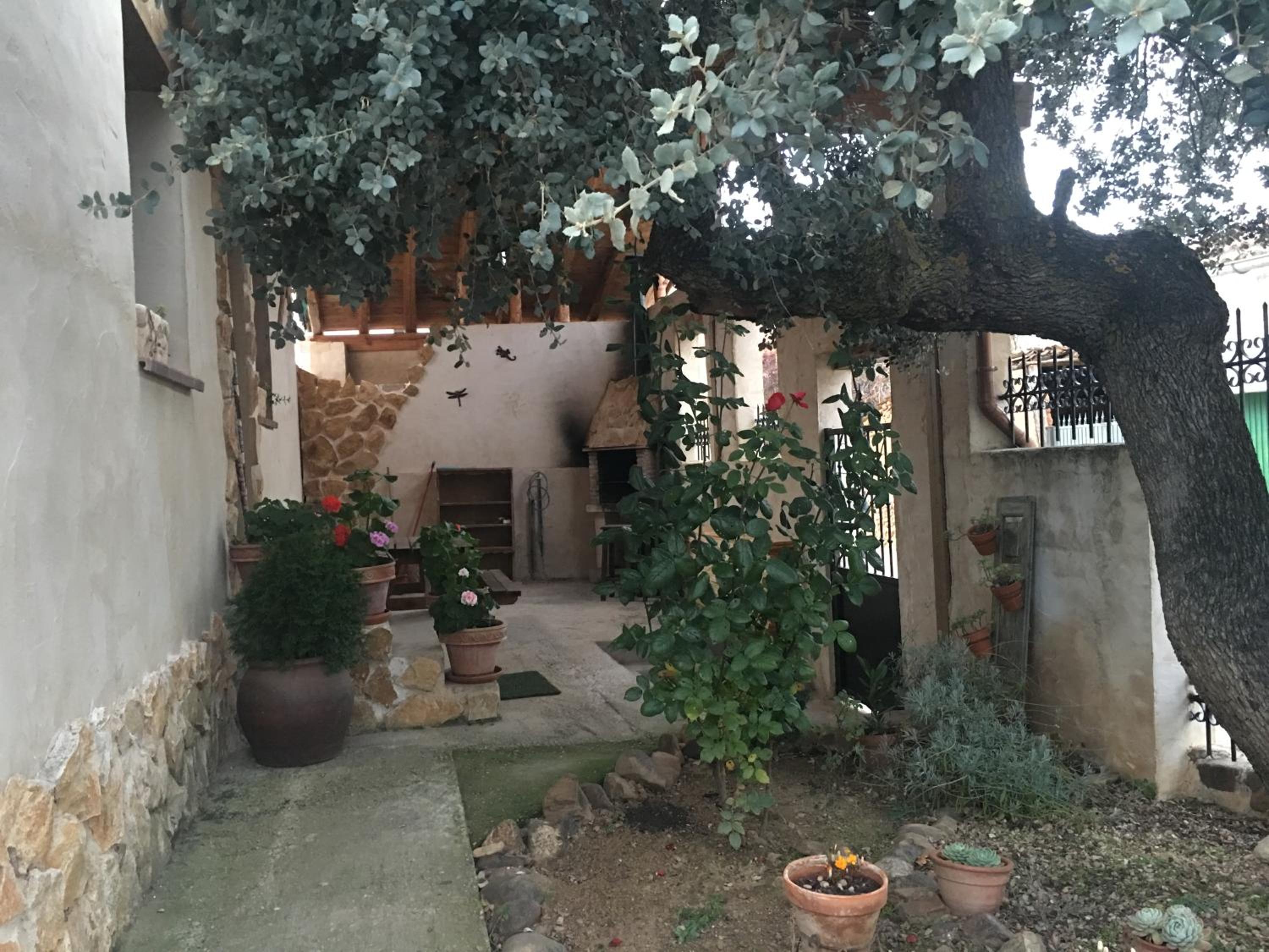 Photo 20