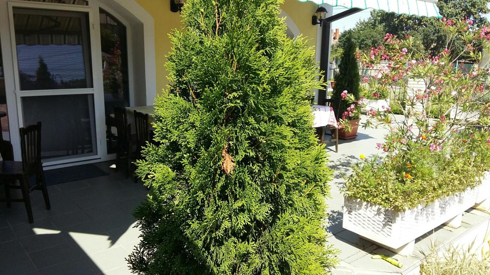 Photo 24