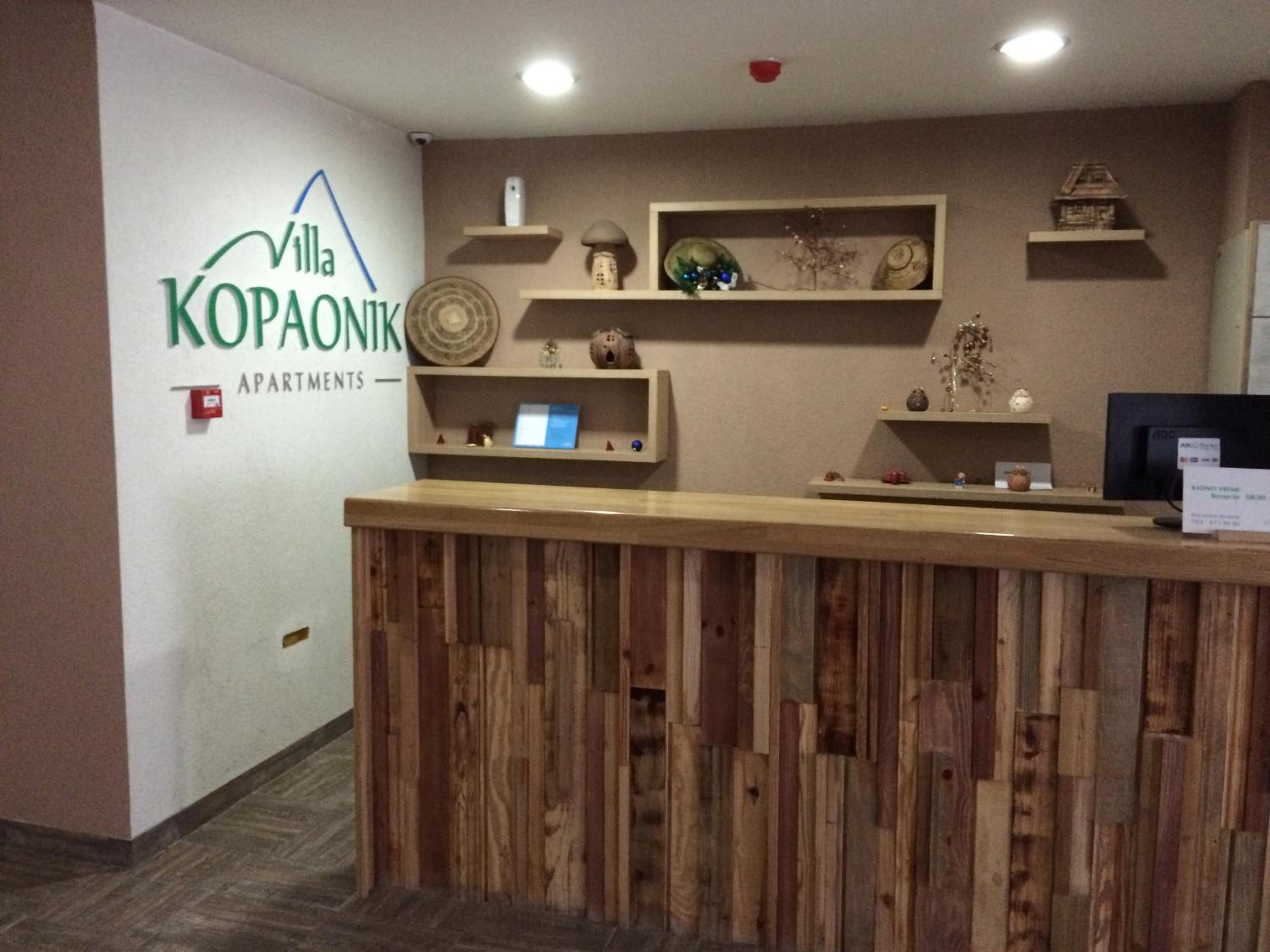 Apartmani u Vili Kopaonik view 4