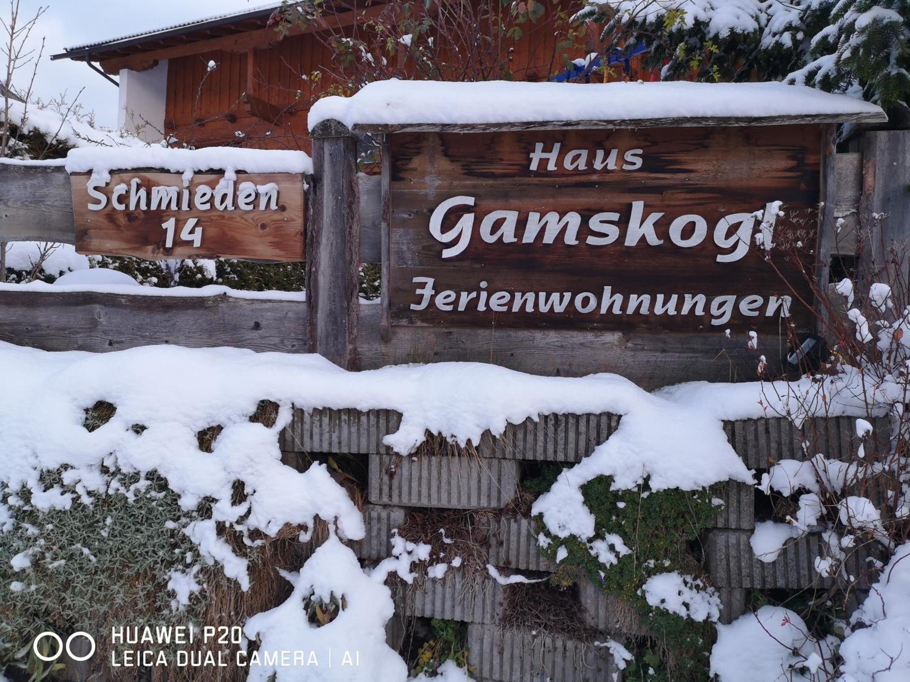 Haus Gamskogl view 4