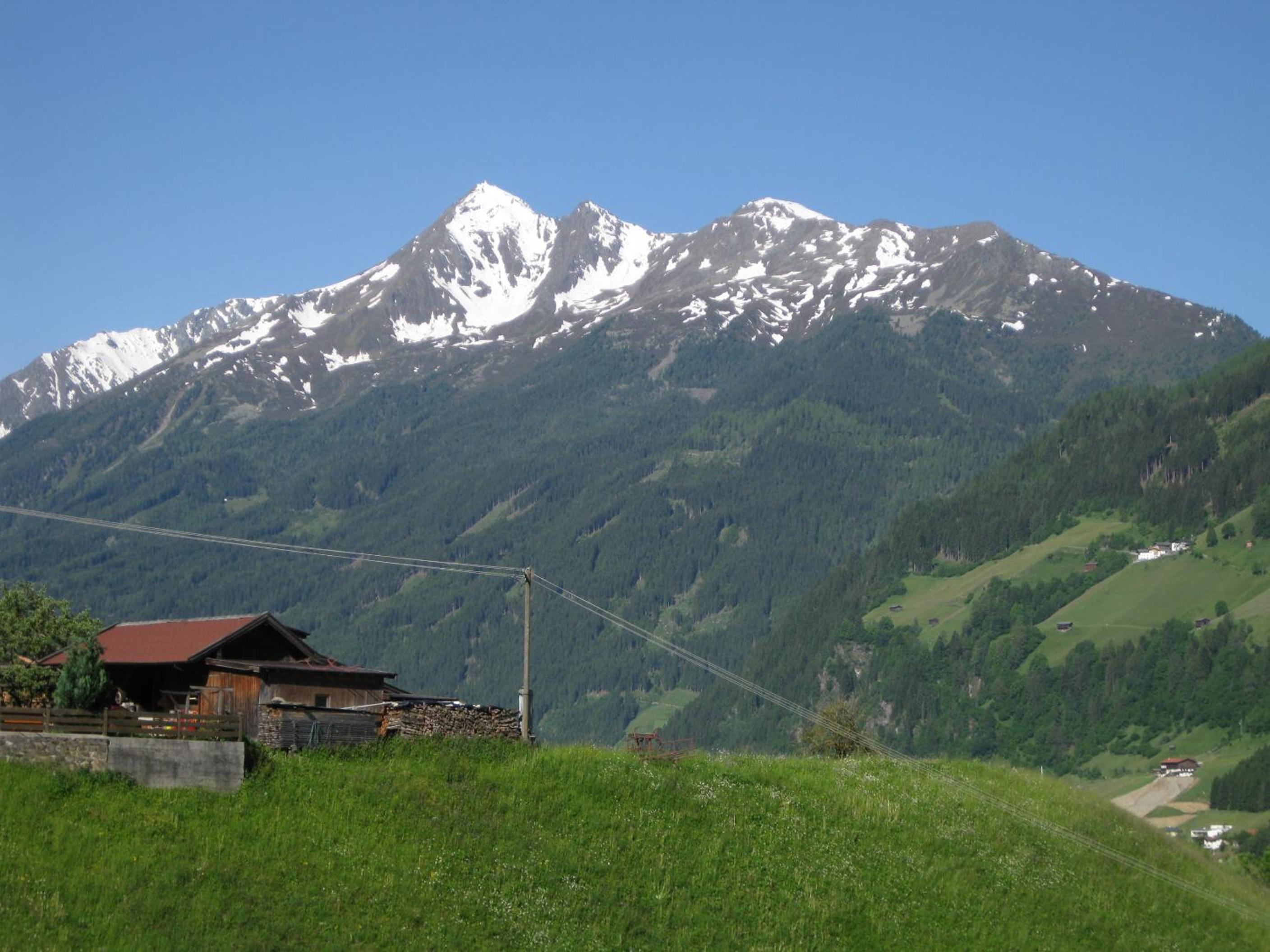 Photo 11