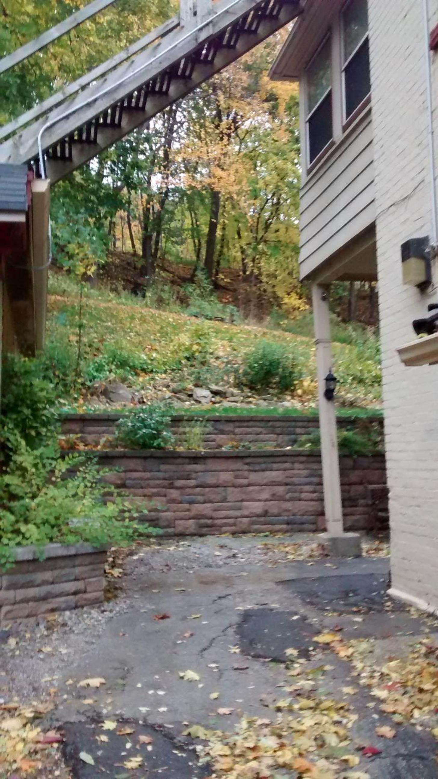 McBayne House view 2