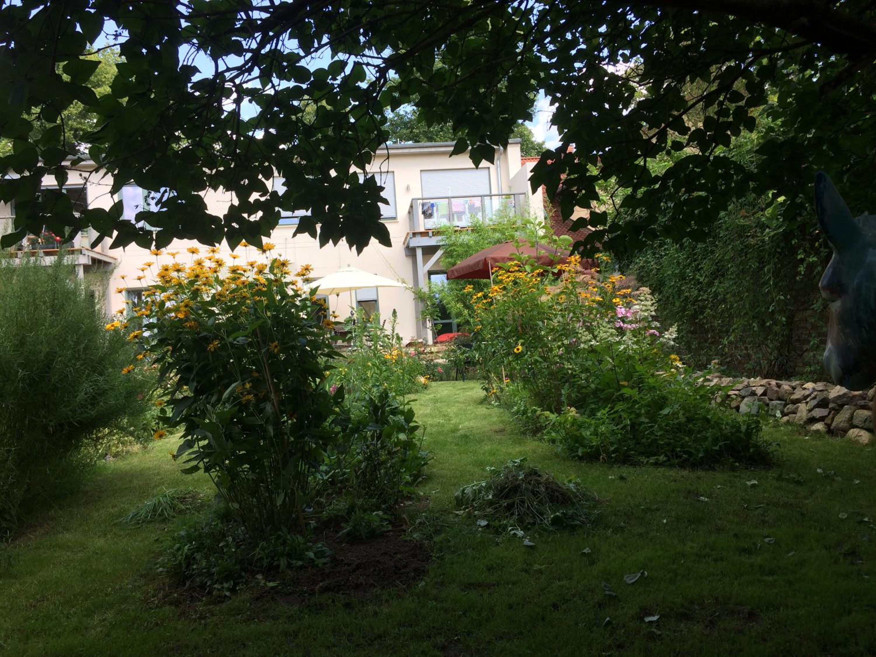 Photo 59