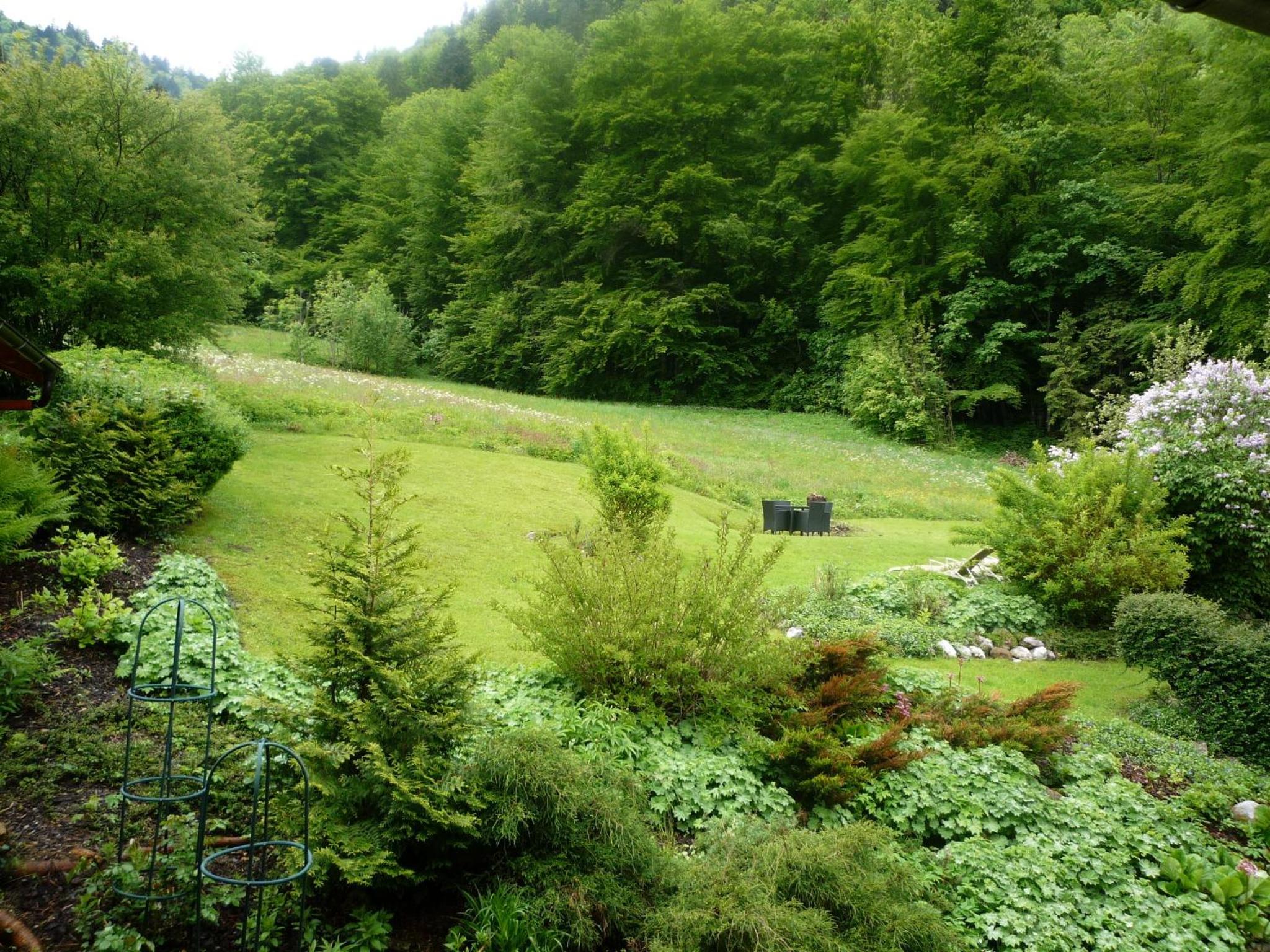 Photo 43