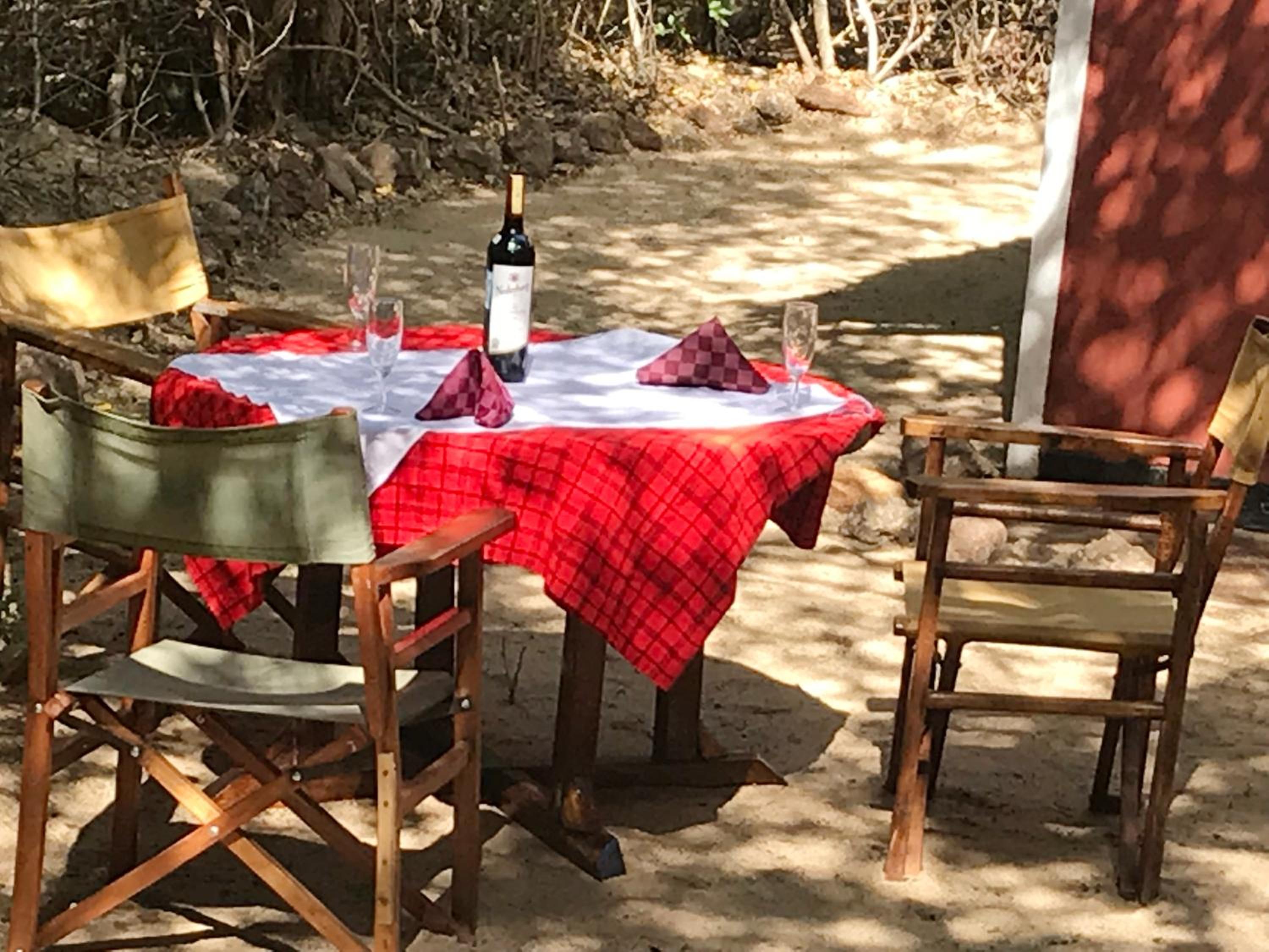 Maasai Simba Camp