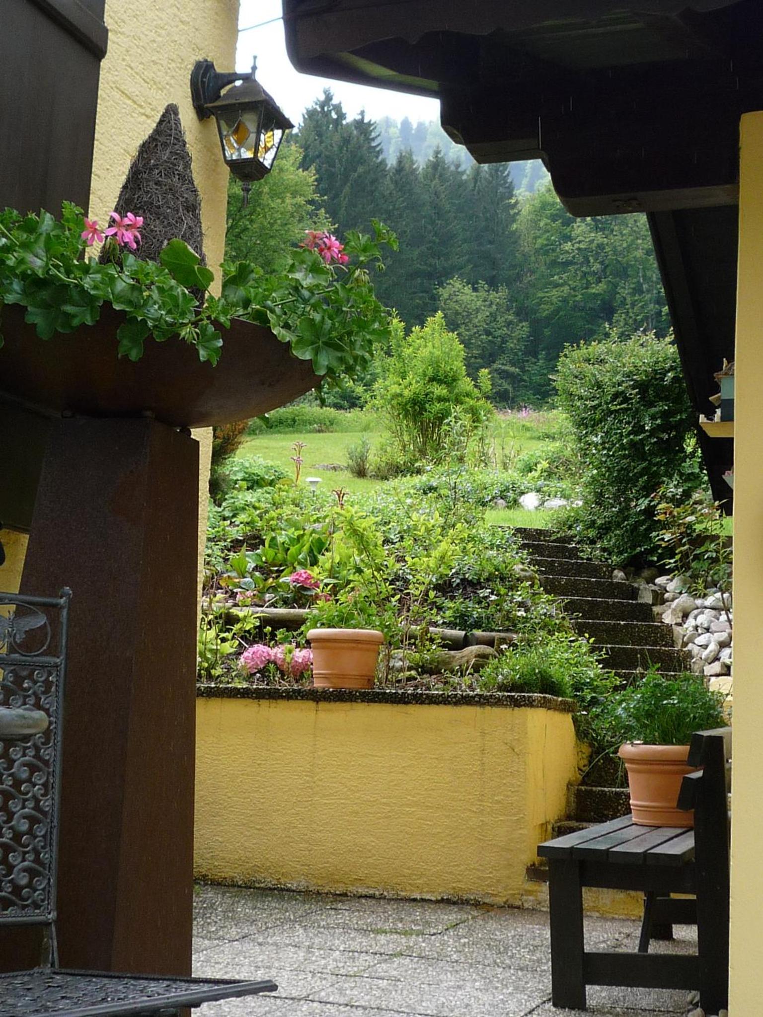 Photo 44