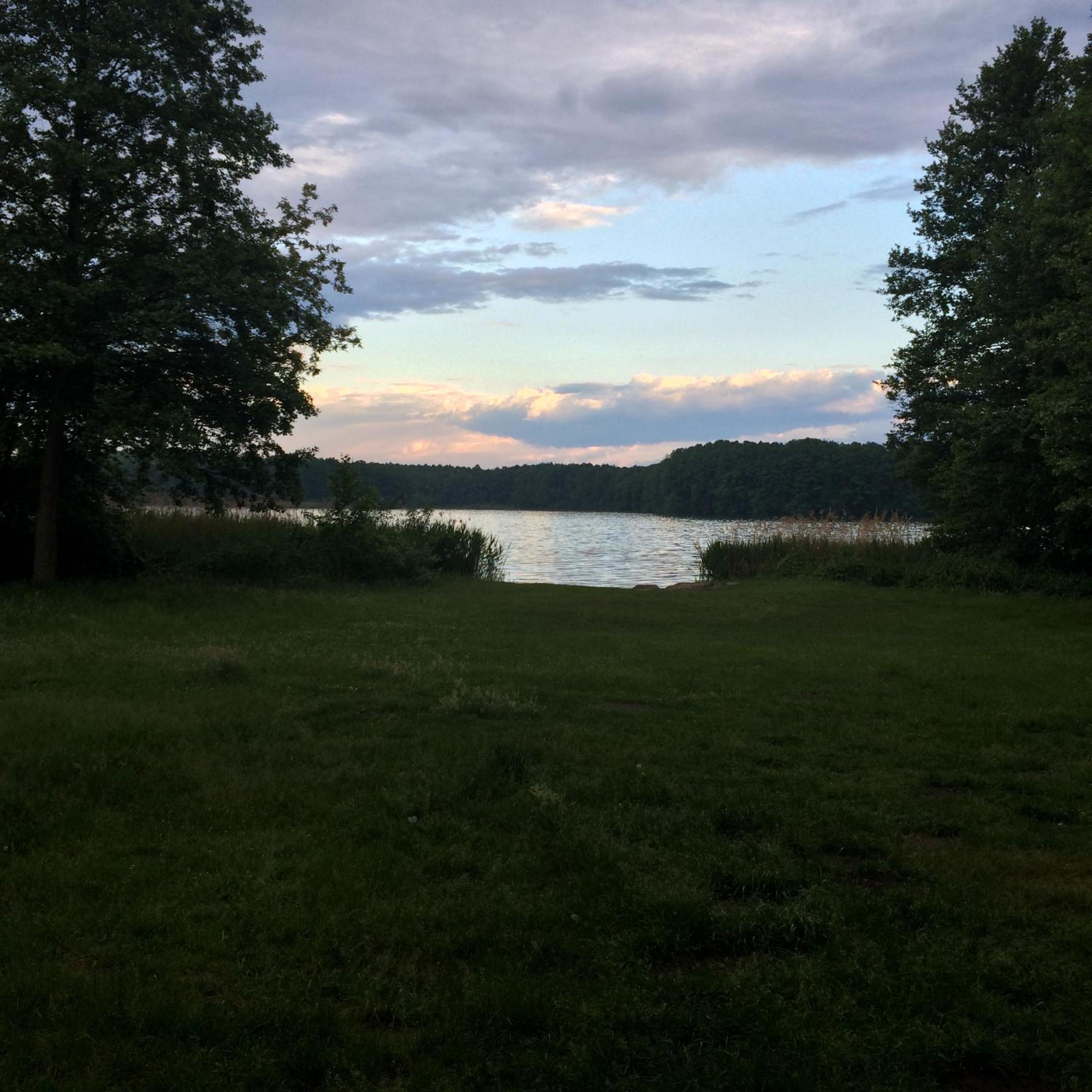 Photo 29