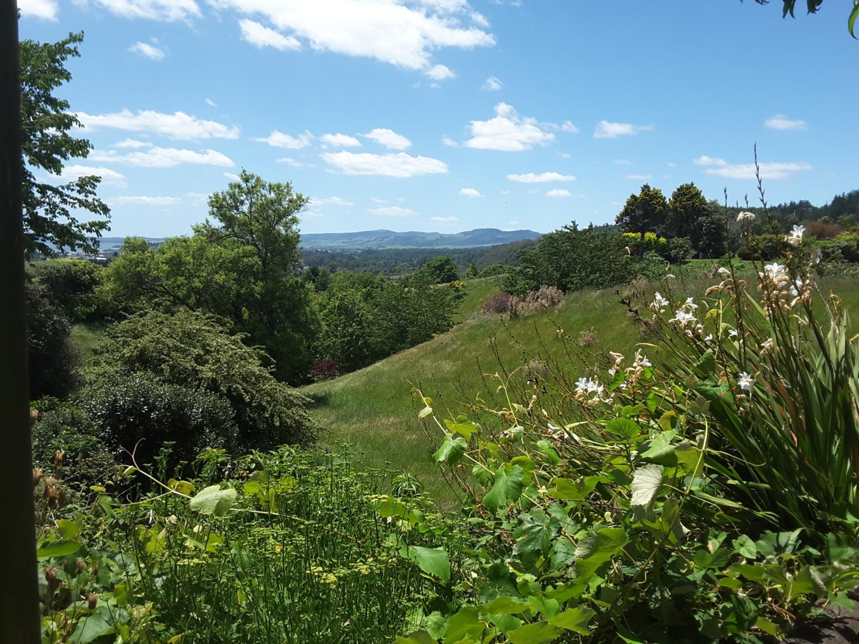 Geyser Lookout BnB
