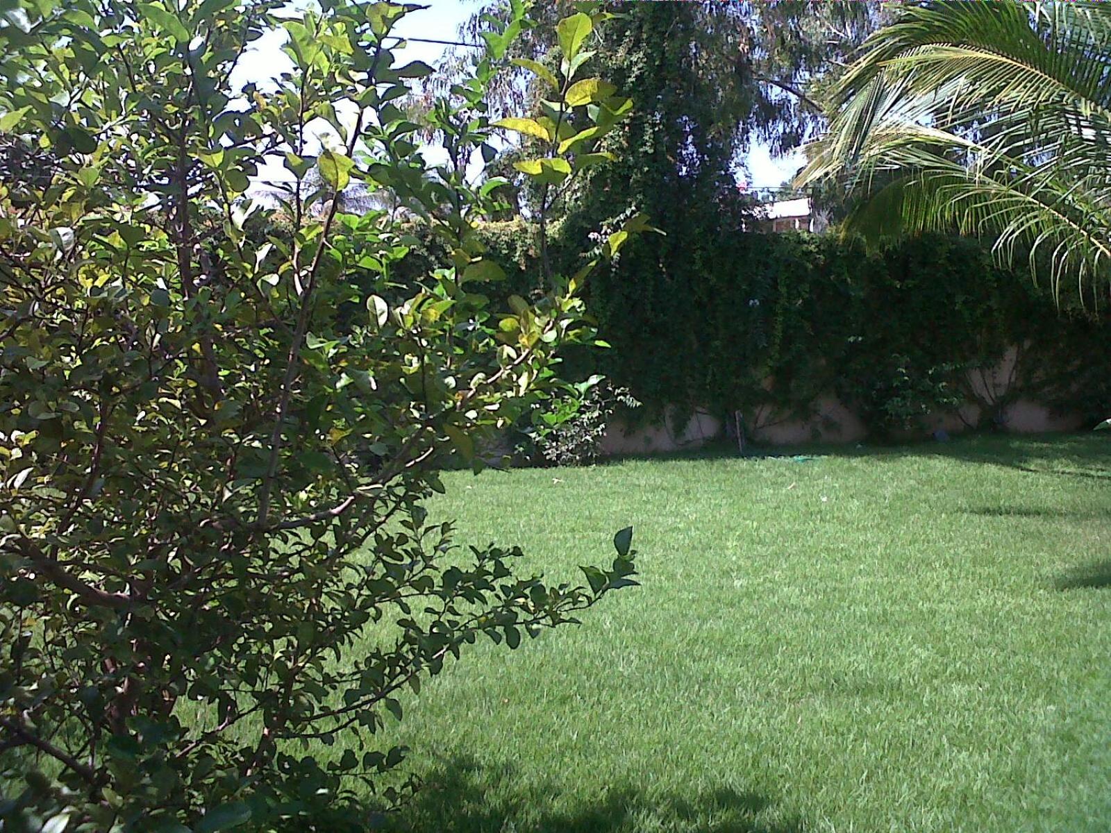 Photo 26
