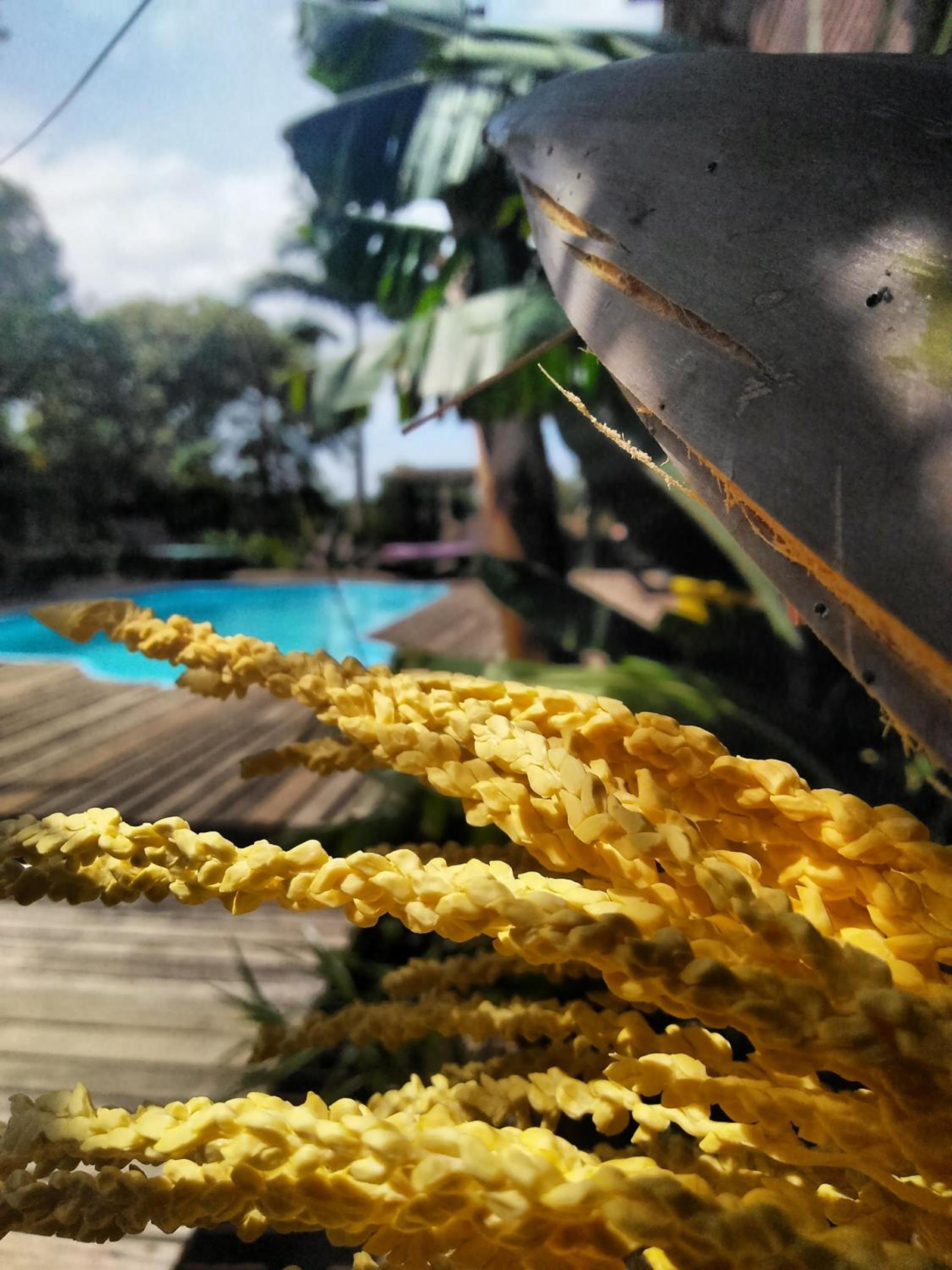 Villa Josefa - Cabanas completas com piscina e churrasqueira
