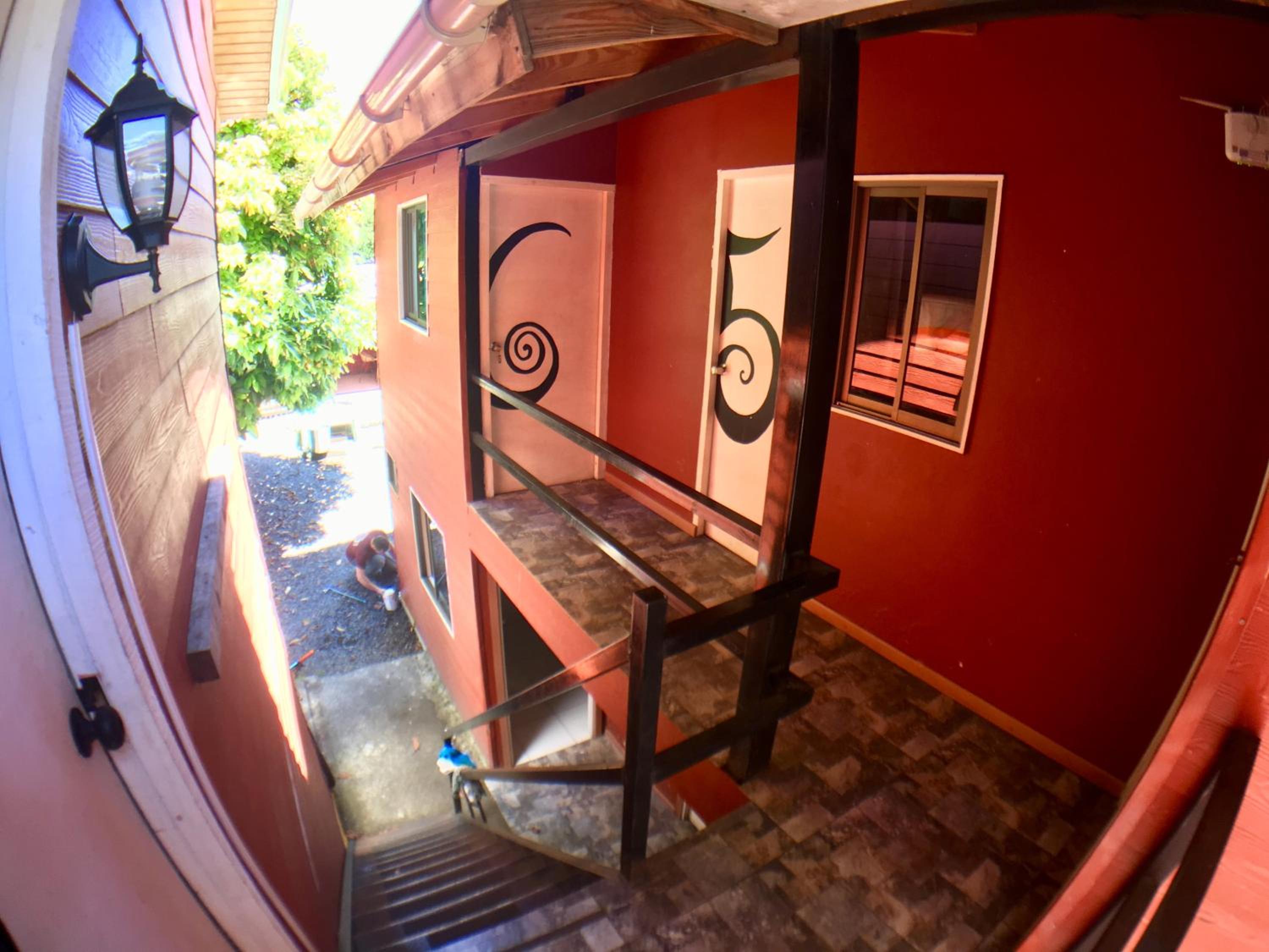 Gecko Hostel, photo 13