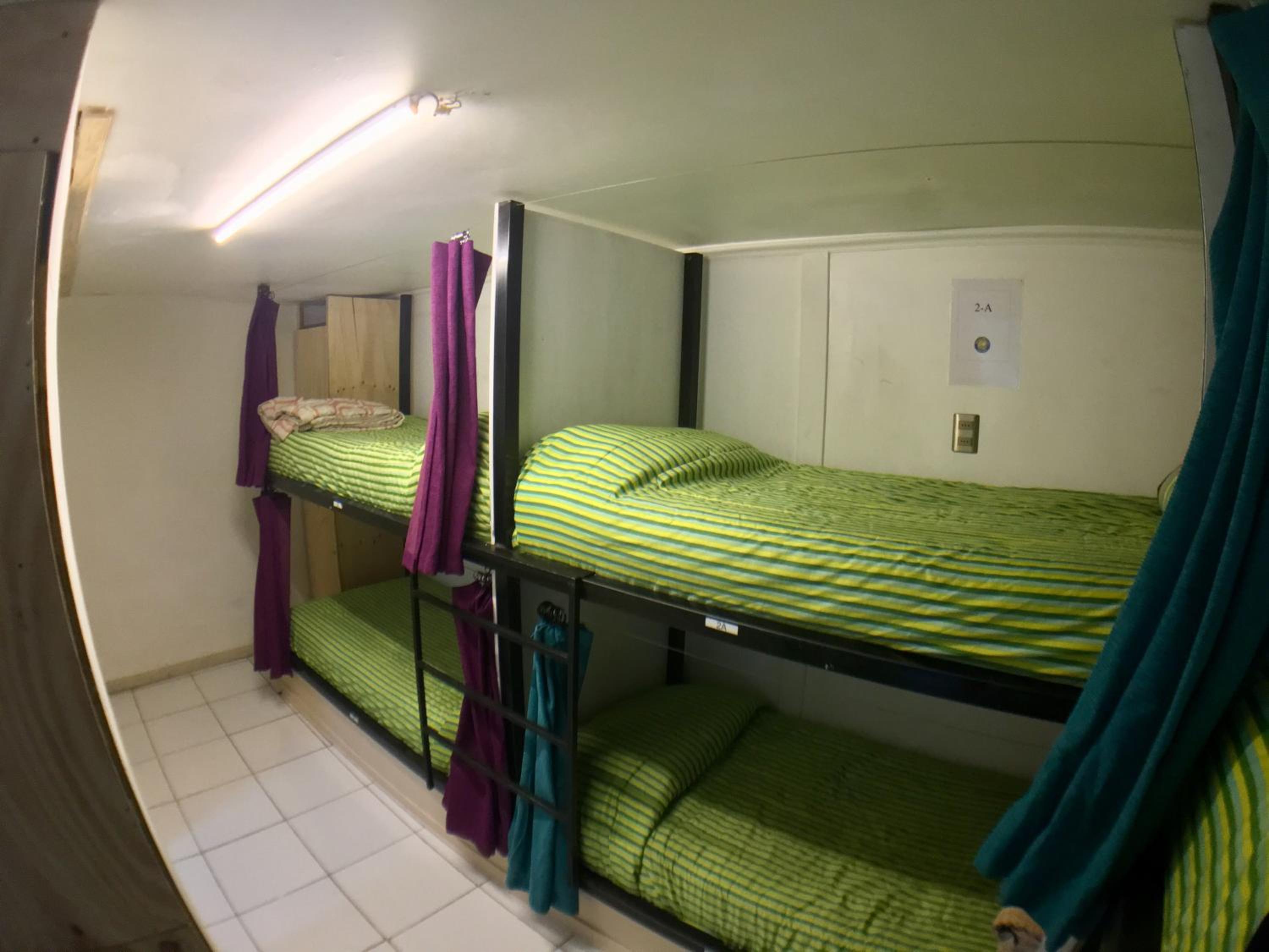 Gecko Hostel, photo 12
