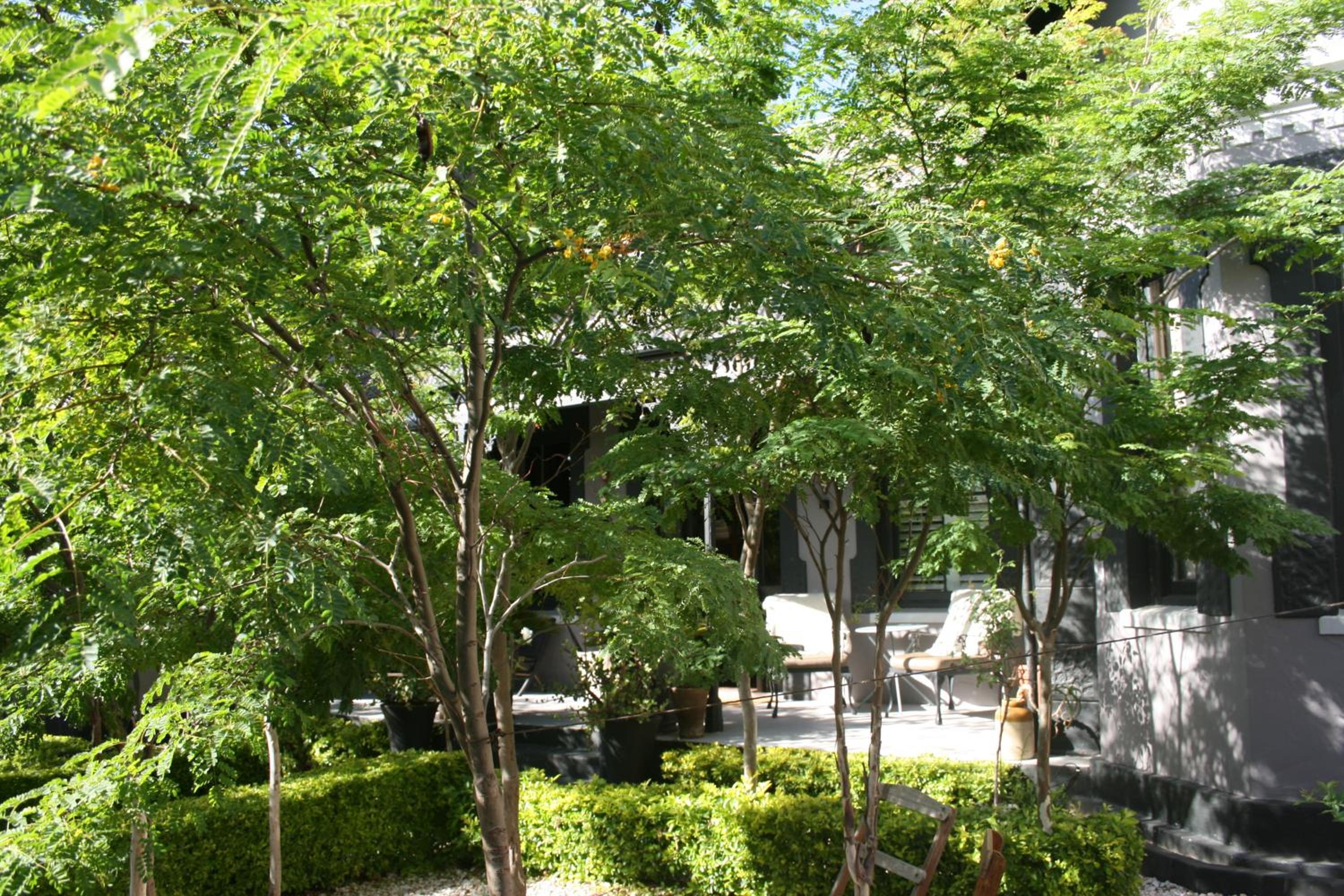 The Black House view 4