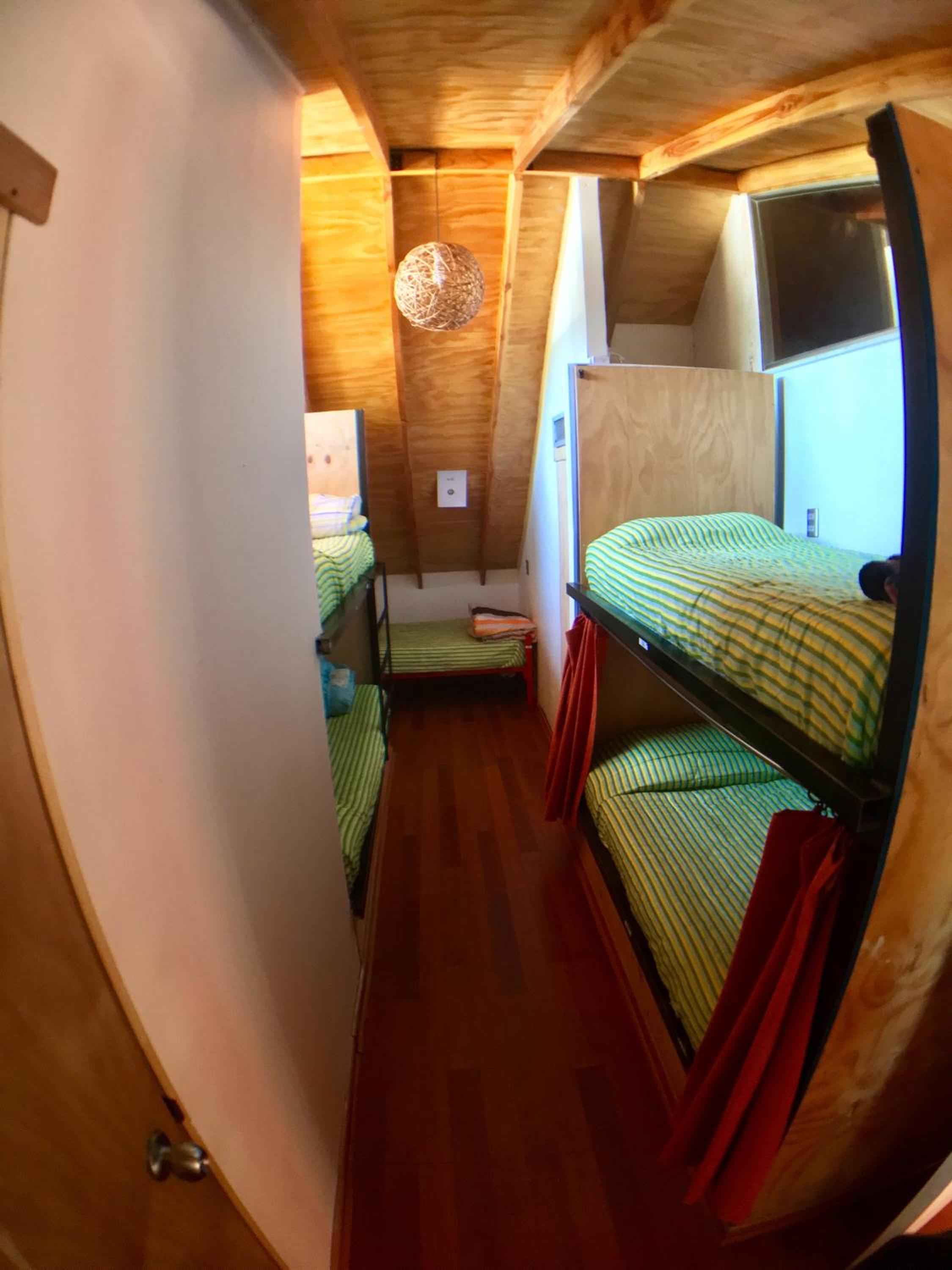 Gecko Hostel, photo 23