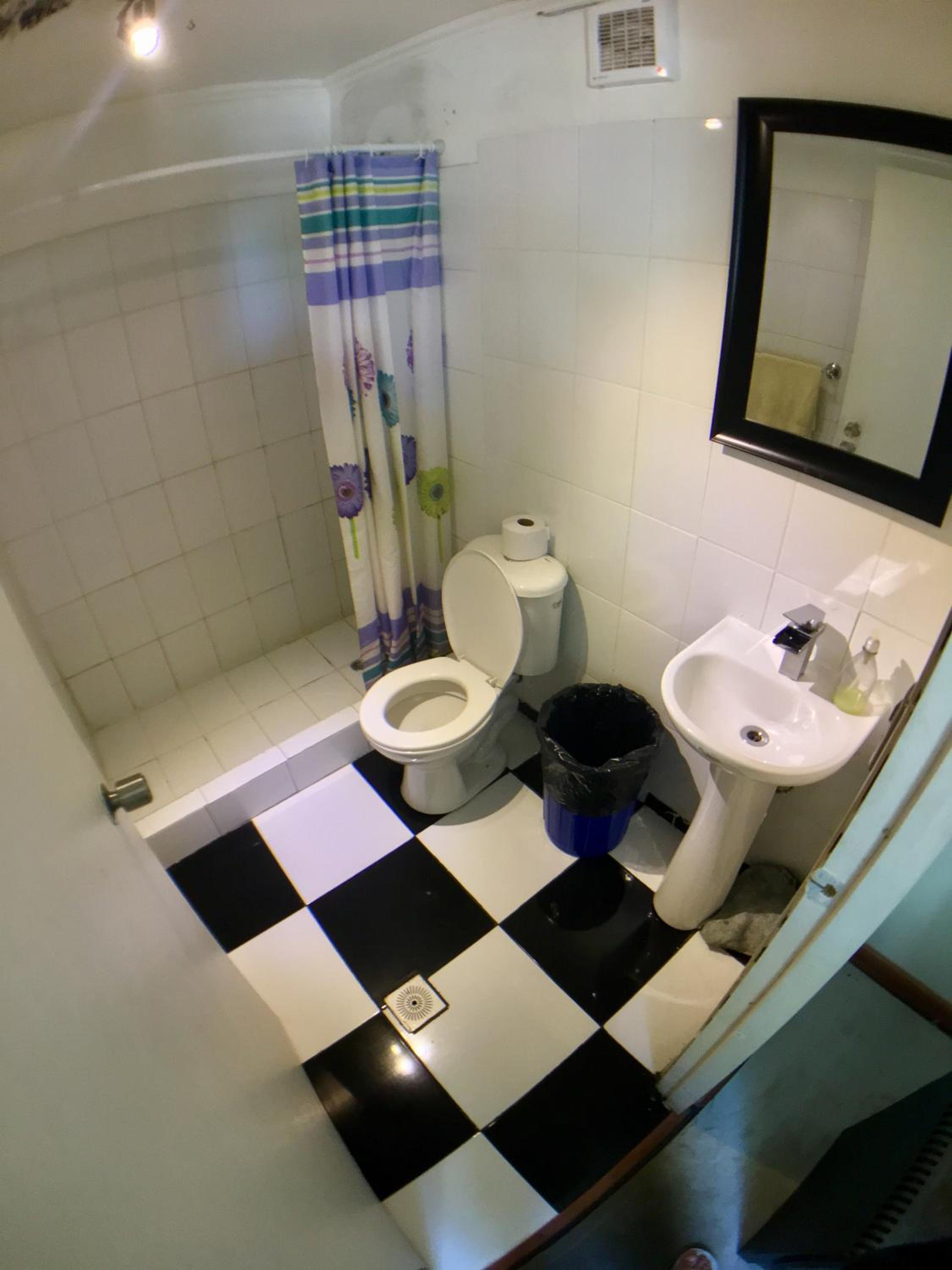 Gecko Hostel, photo 10