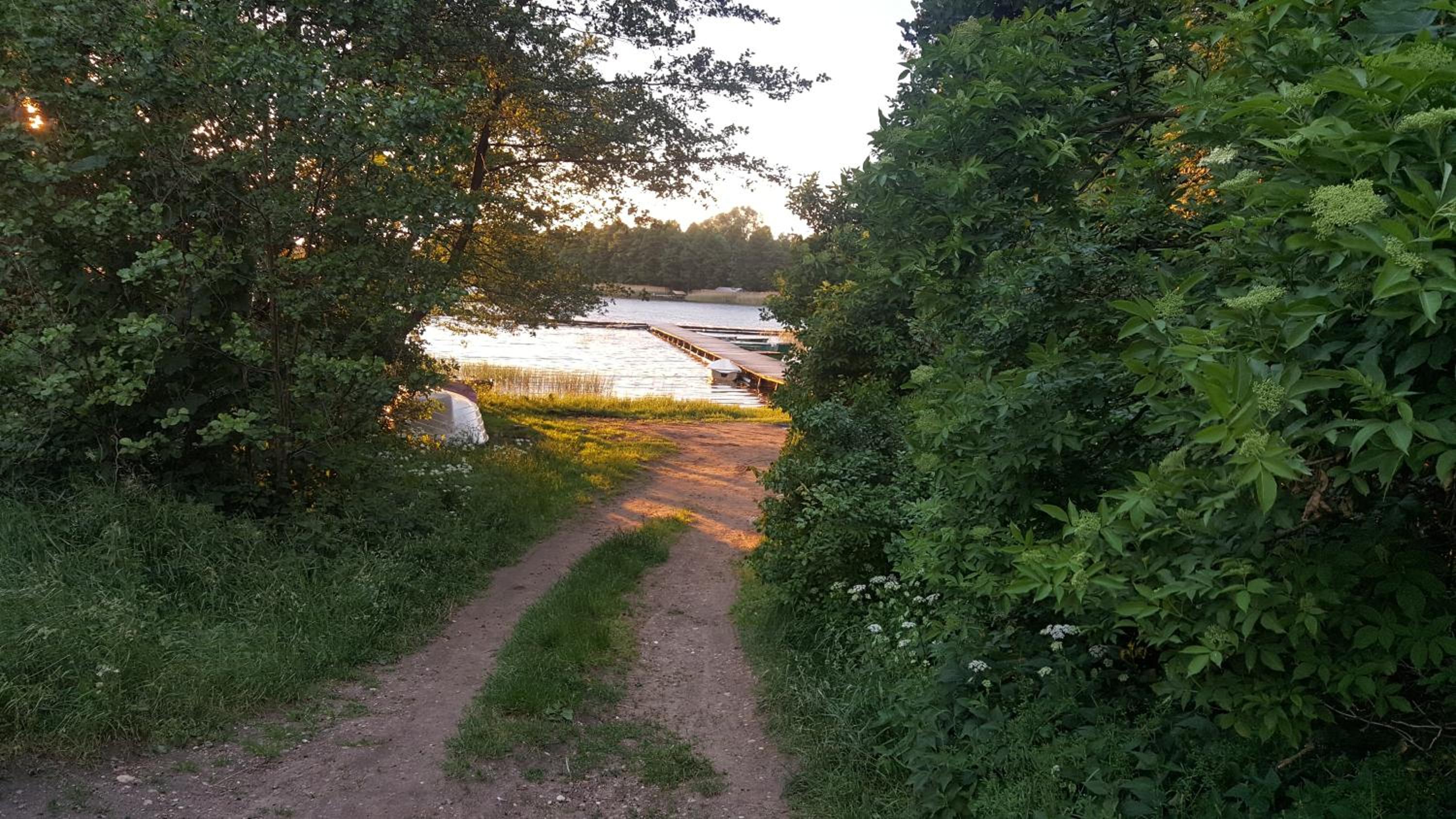 Photo 38