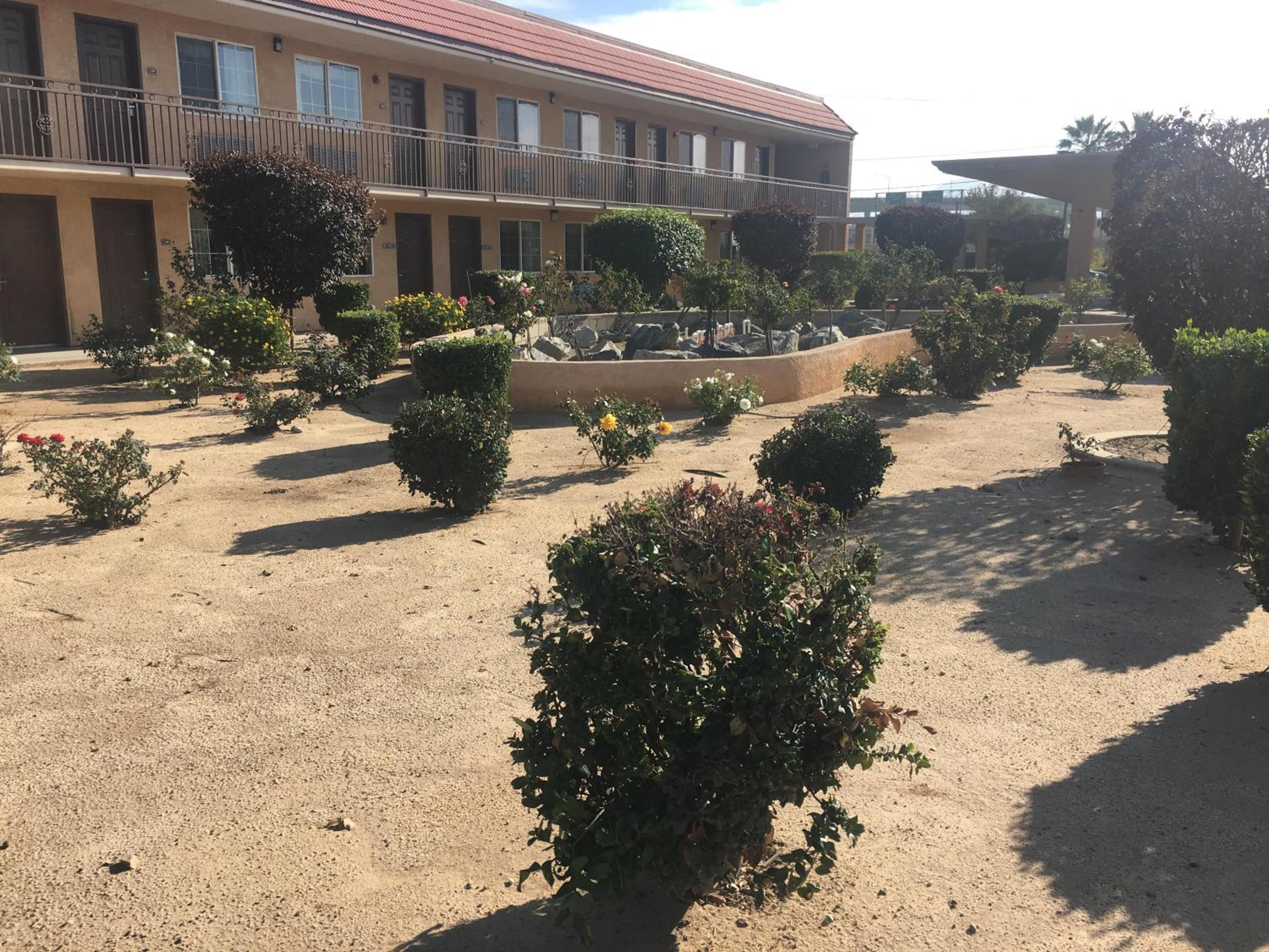Budget Lodge San Bernardino view 2