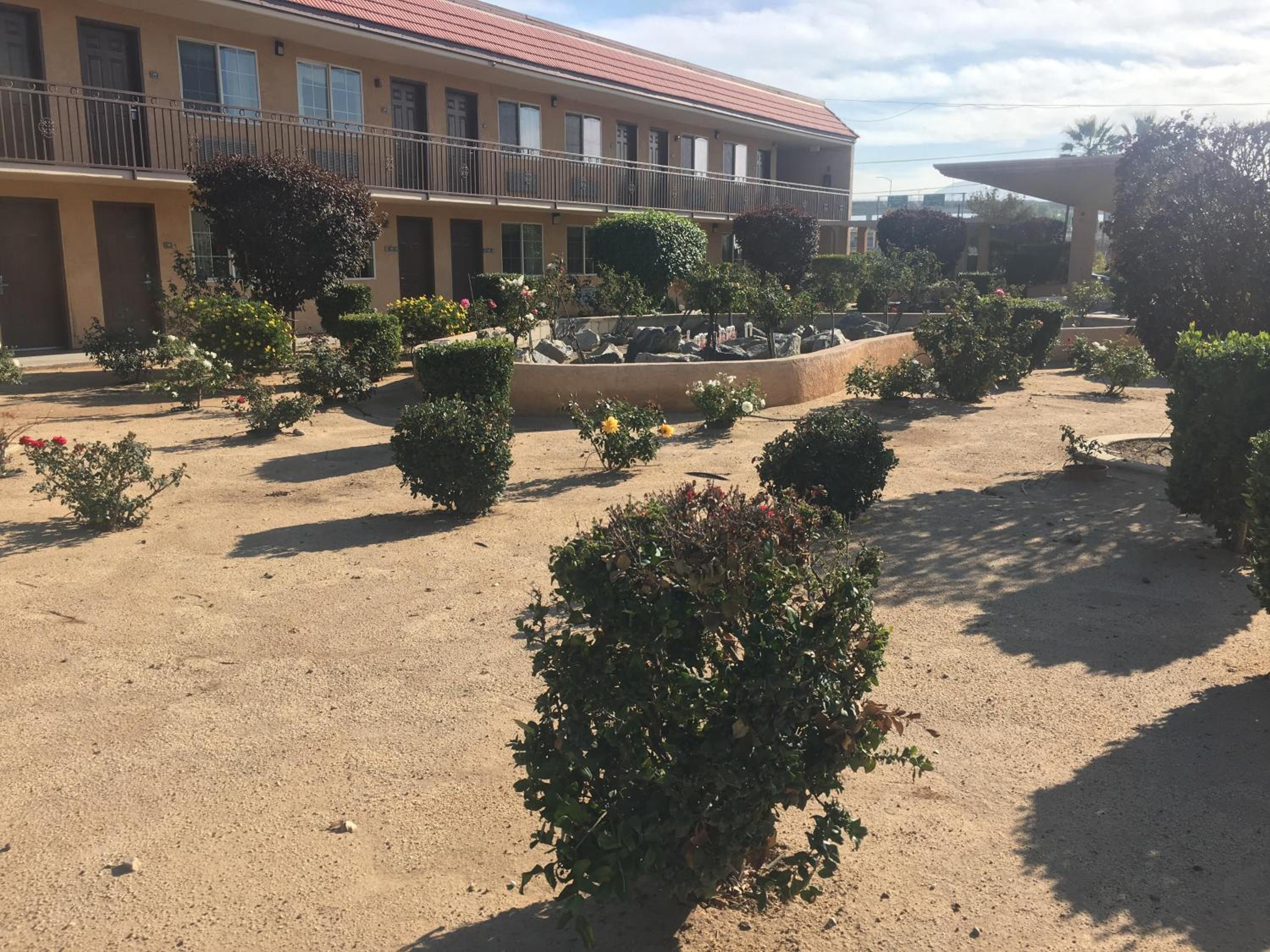 Budget Lodge San Bernardino view 3