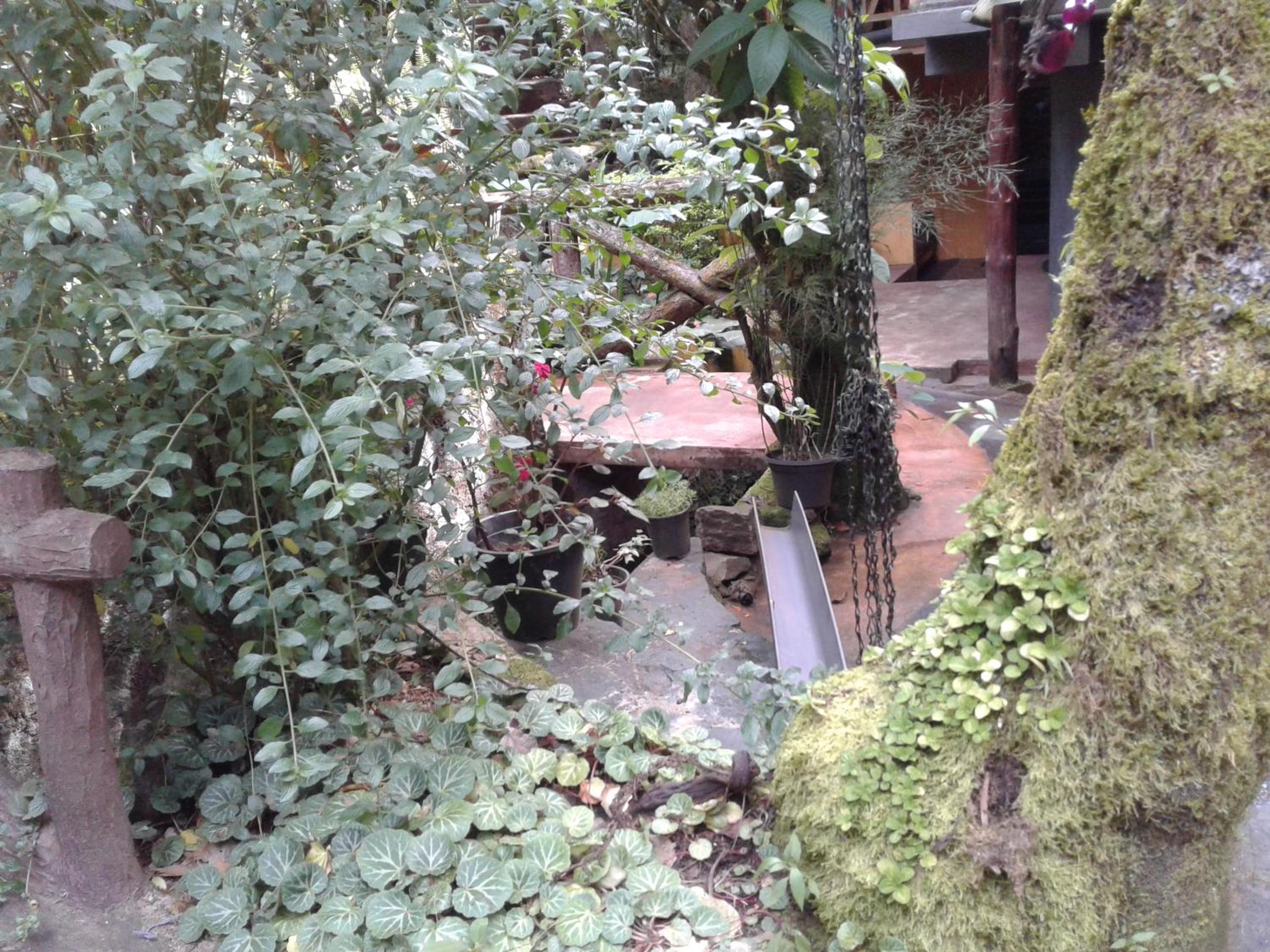 Photo 23