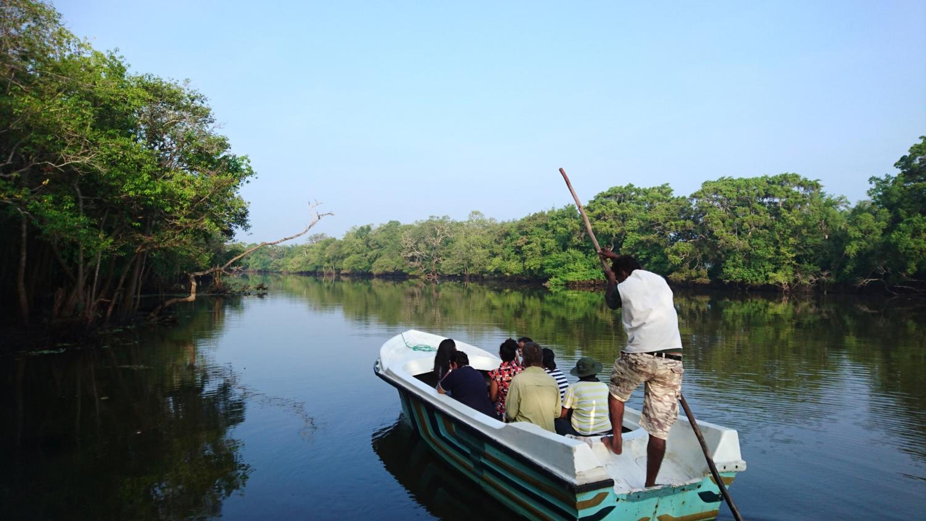 The Backwaters Lodge