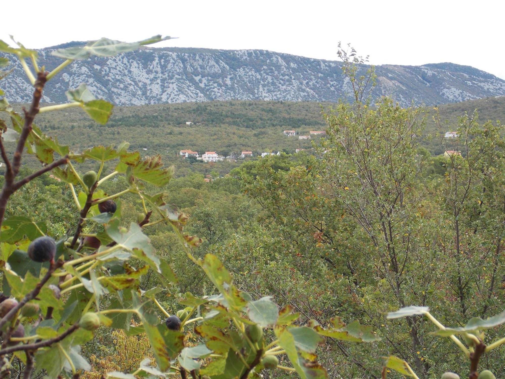 Apartments Rogić view 4