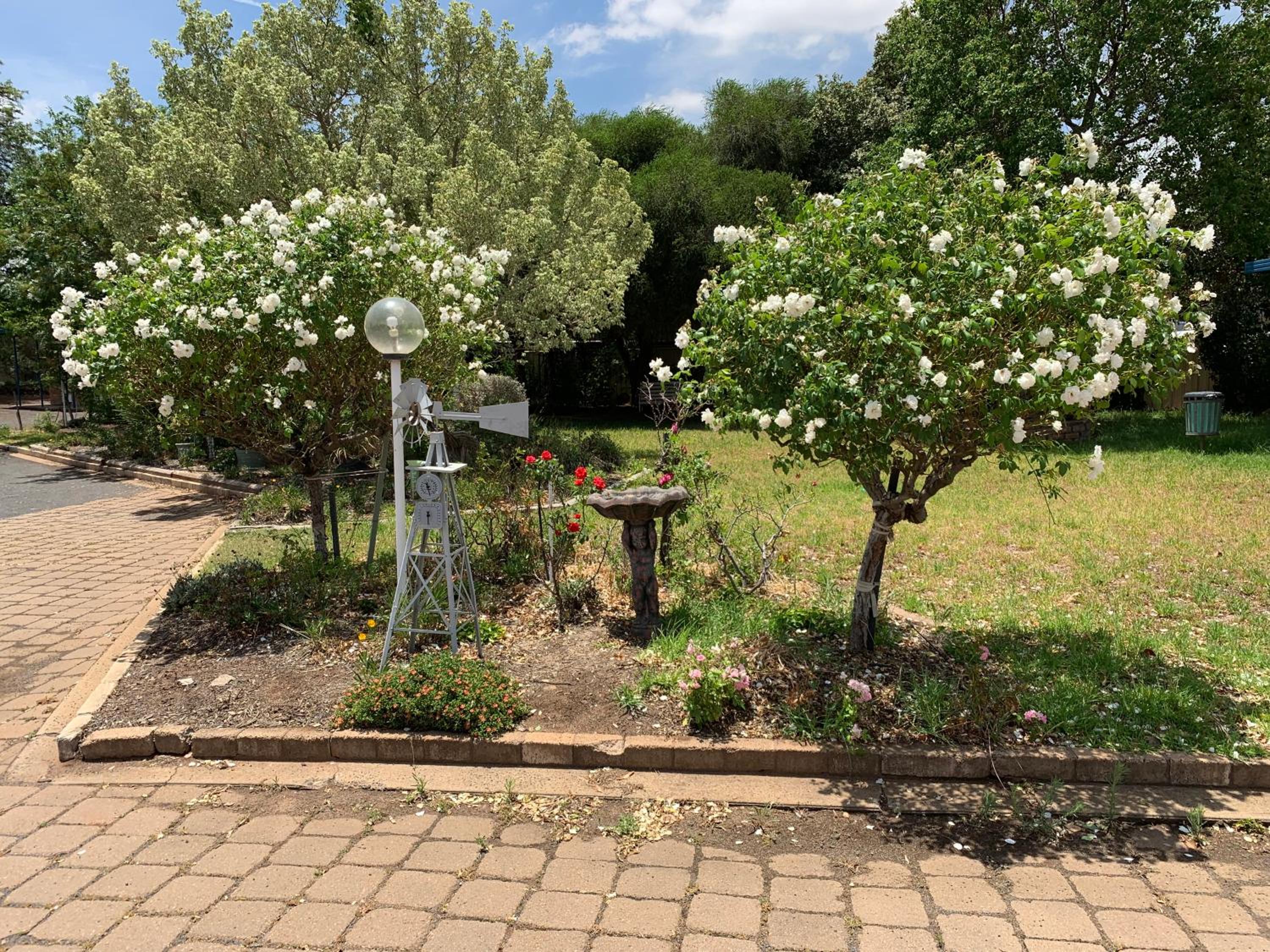 Photo 15