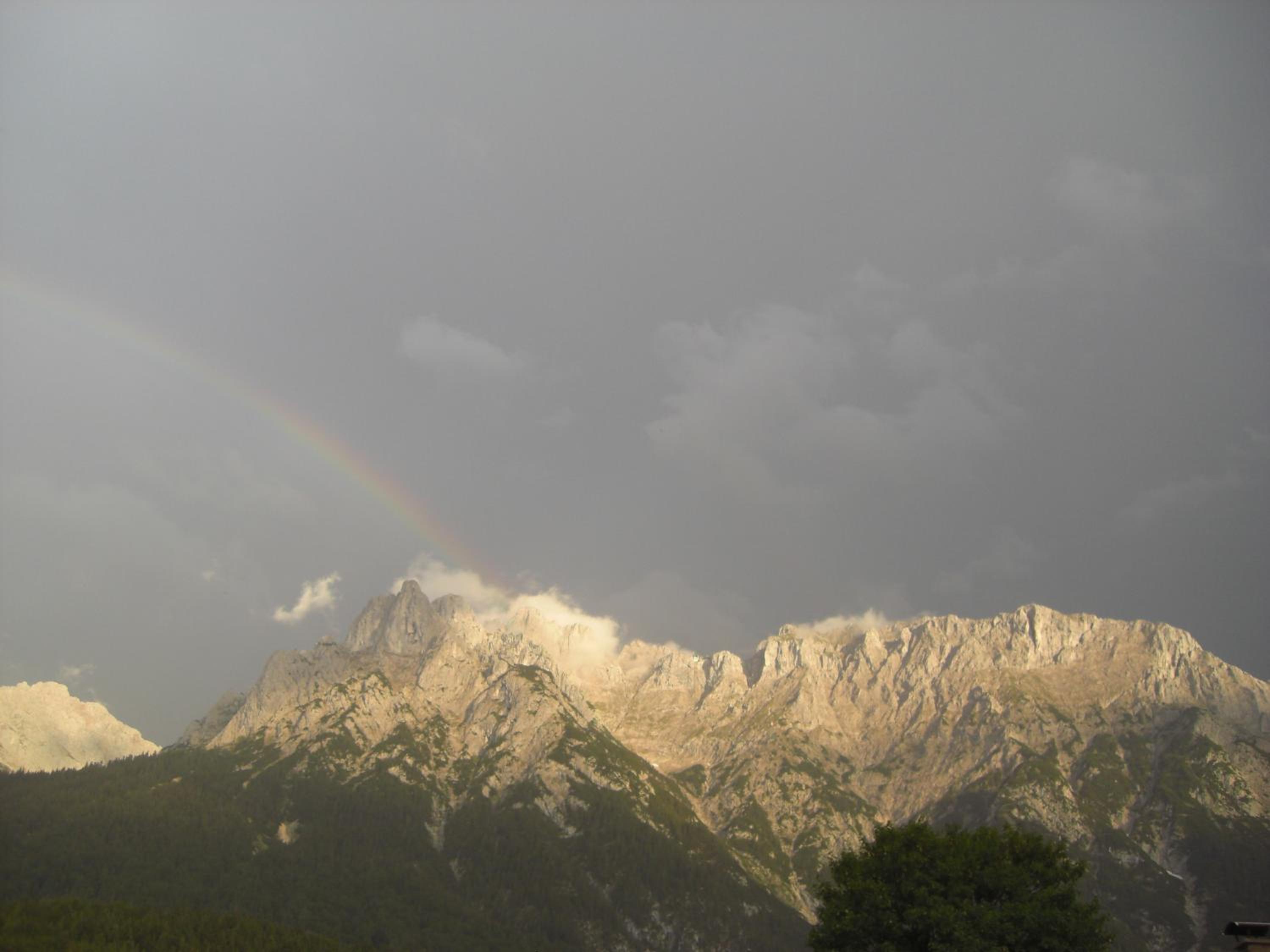 Photo 42