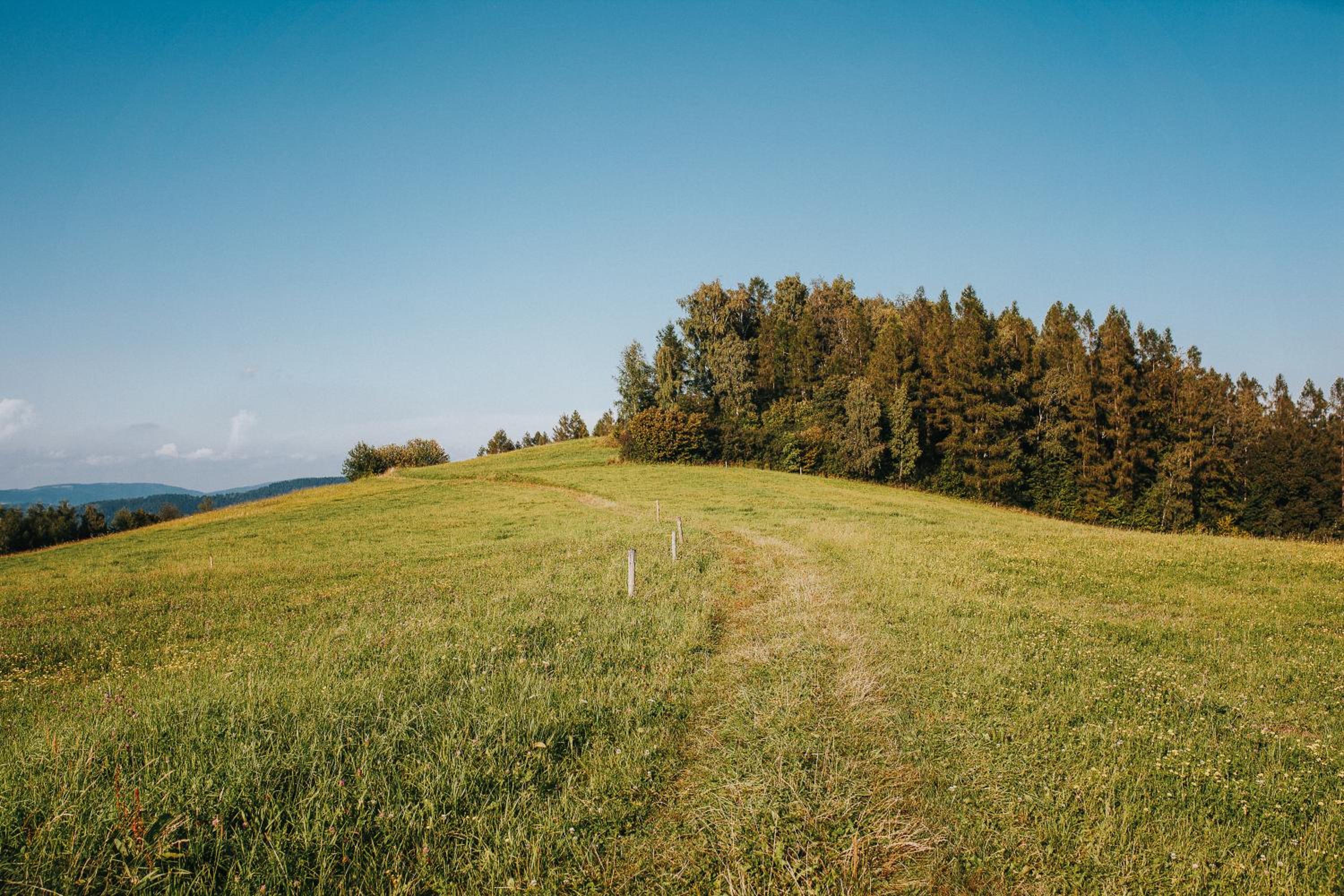 Pasieka - Dom Wypoczynkowy - Property Image 22
