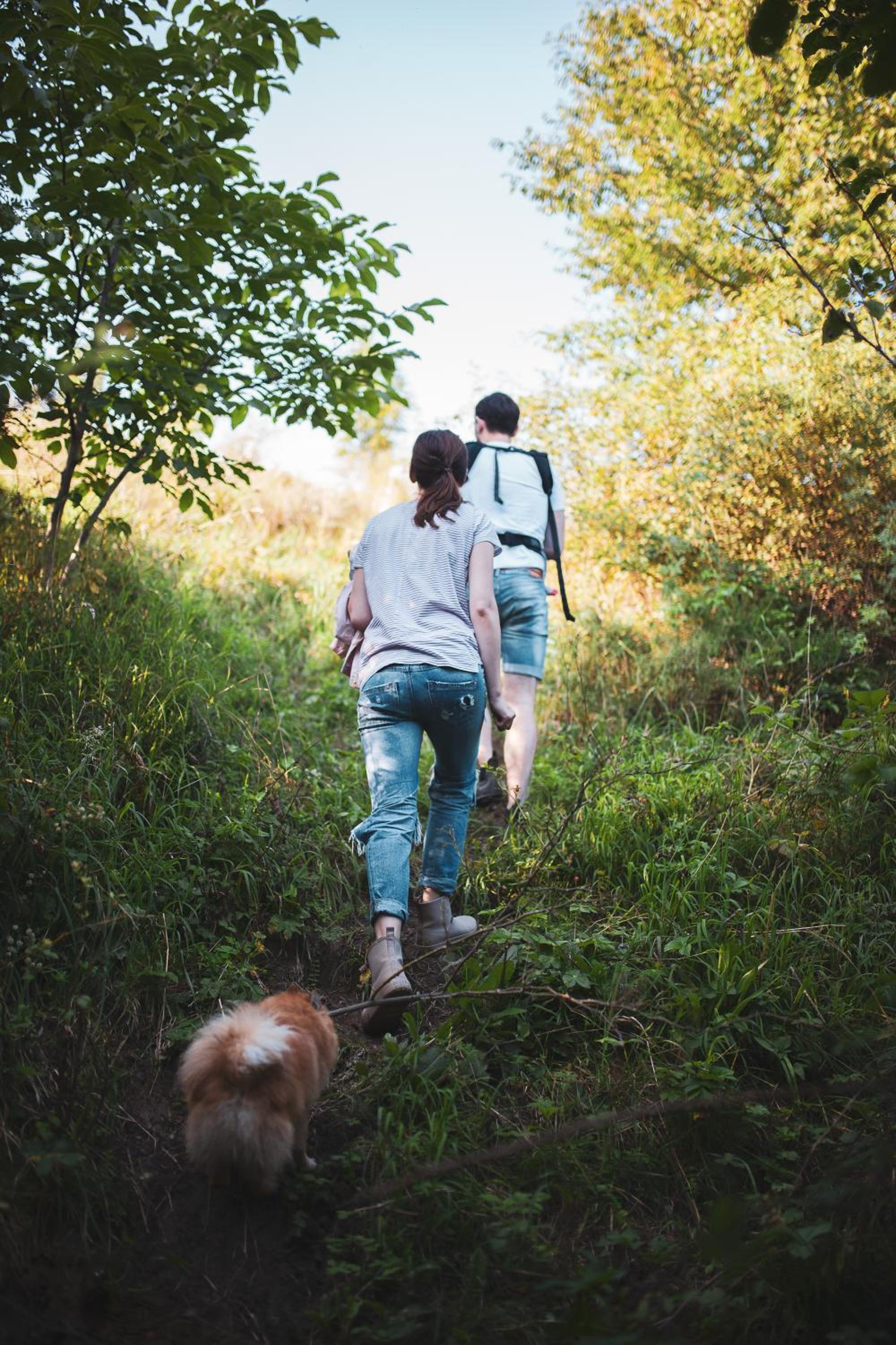 Pasieka - Dom Wypoczynkowy - Property Image 23