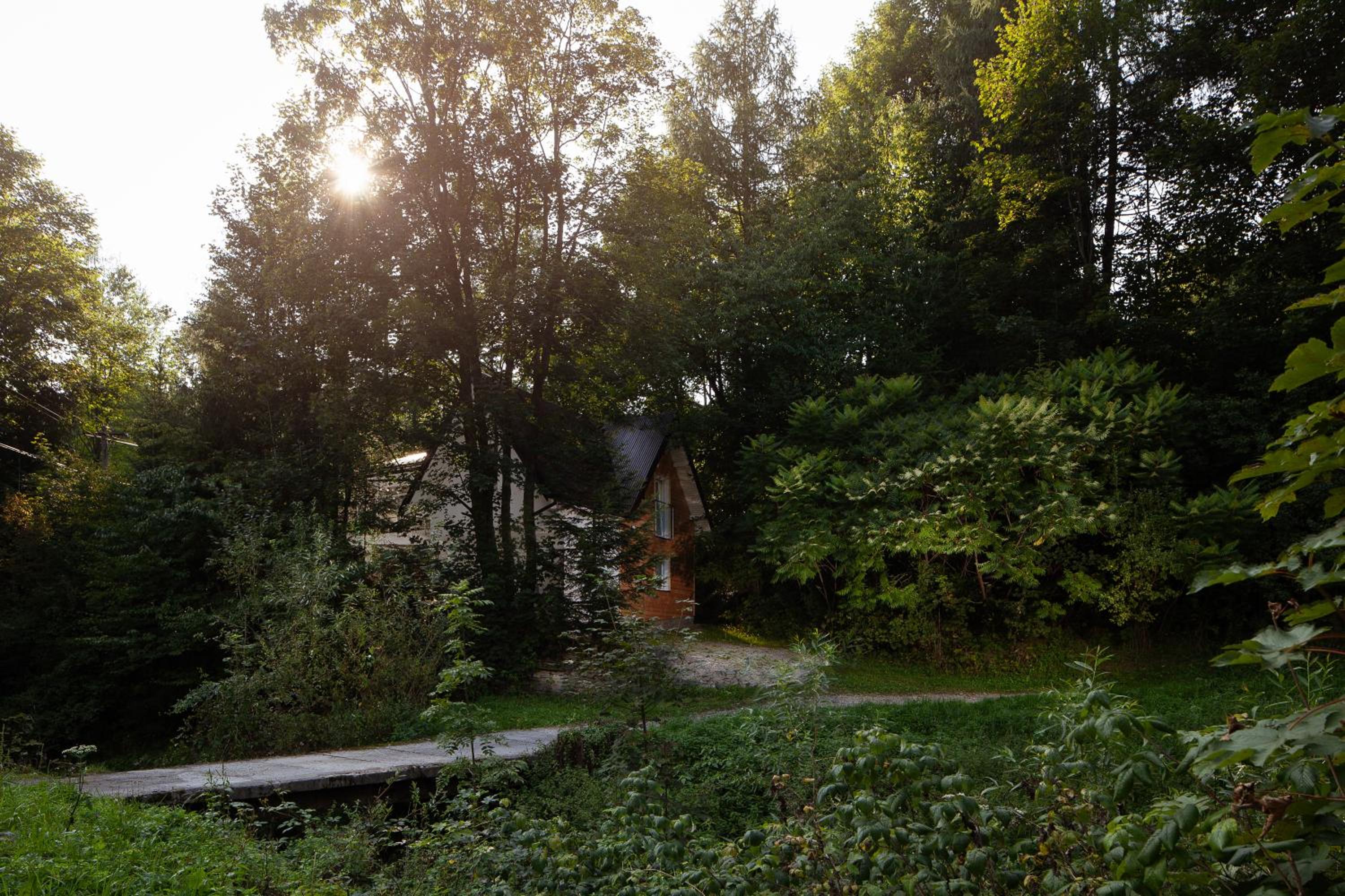 Pasieka - Dom Wypoczynkowy - Property Image 29