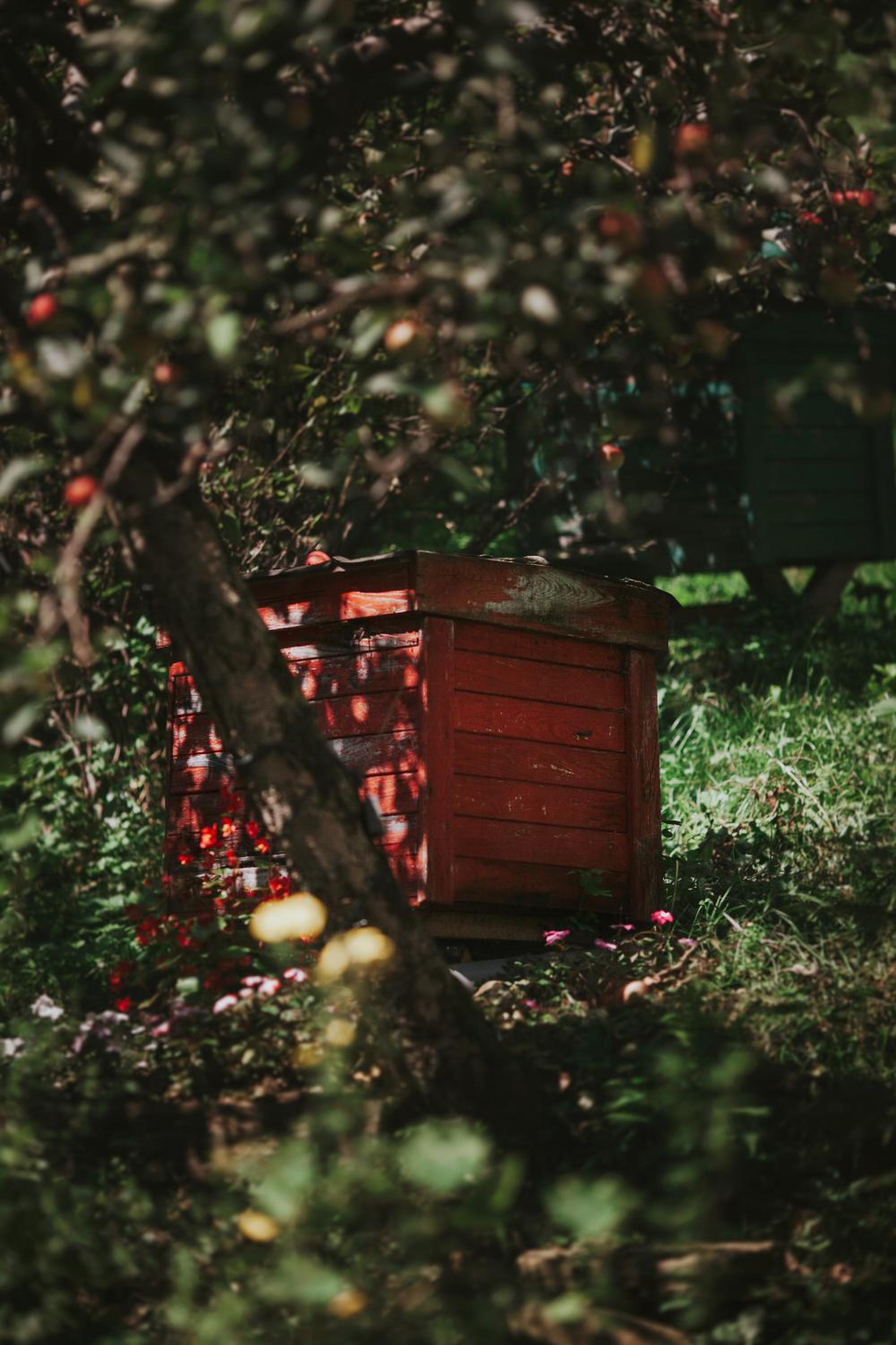 Pasieka - Dom Wypoczynkowy - Property Image 15