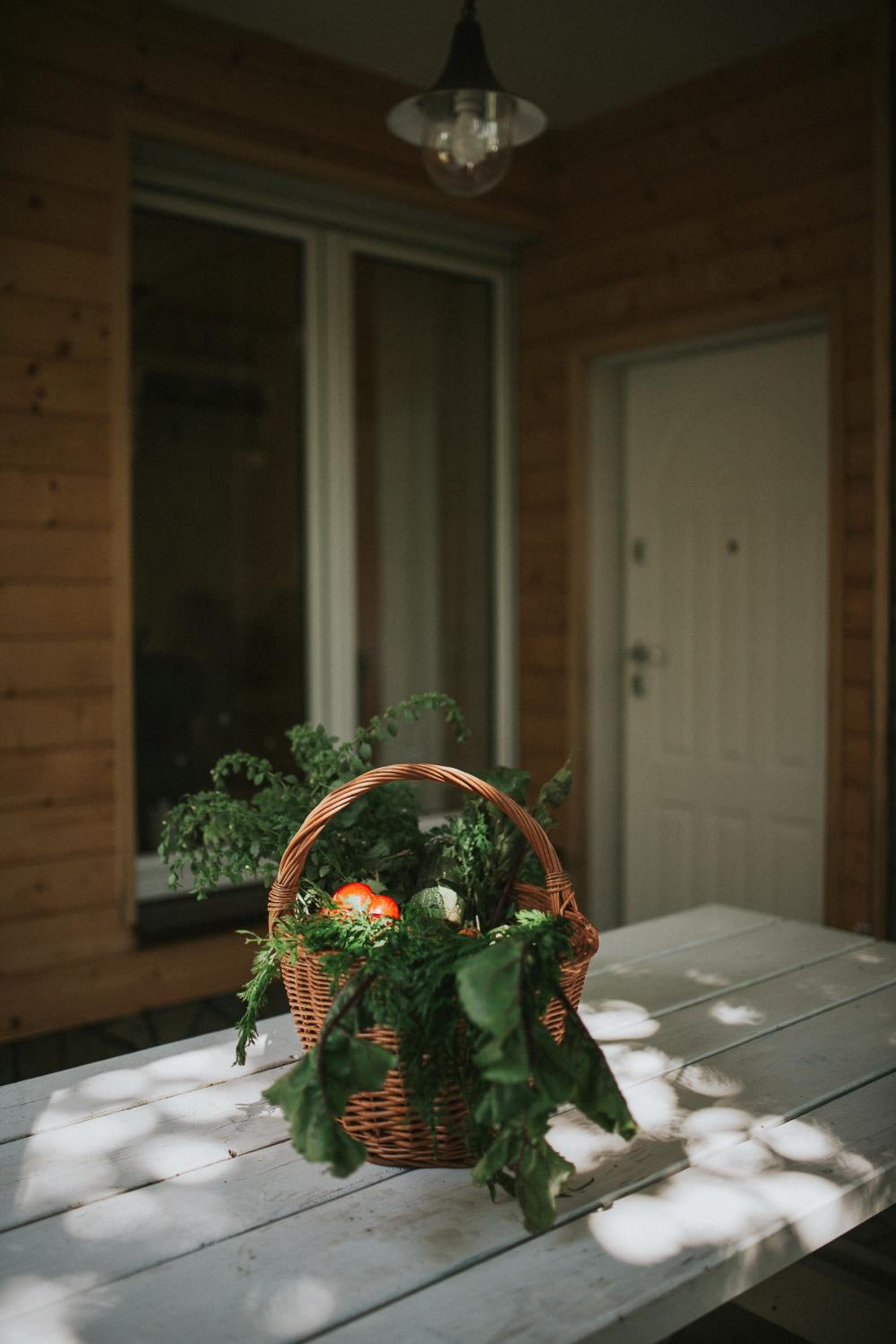 Pasieka - Dom Wypoczynkowy - Property Image 10