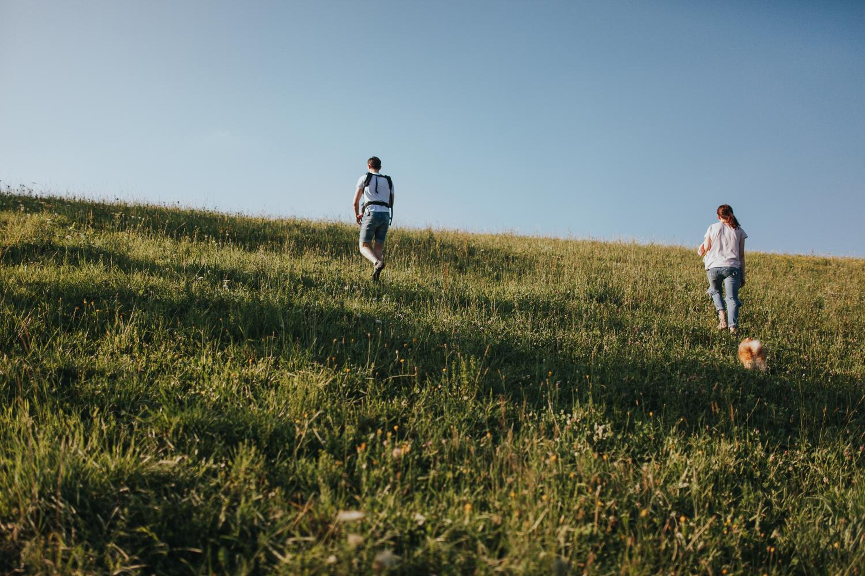 Pasieka - Dom Wypoczynkowy - Property Image 21